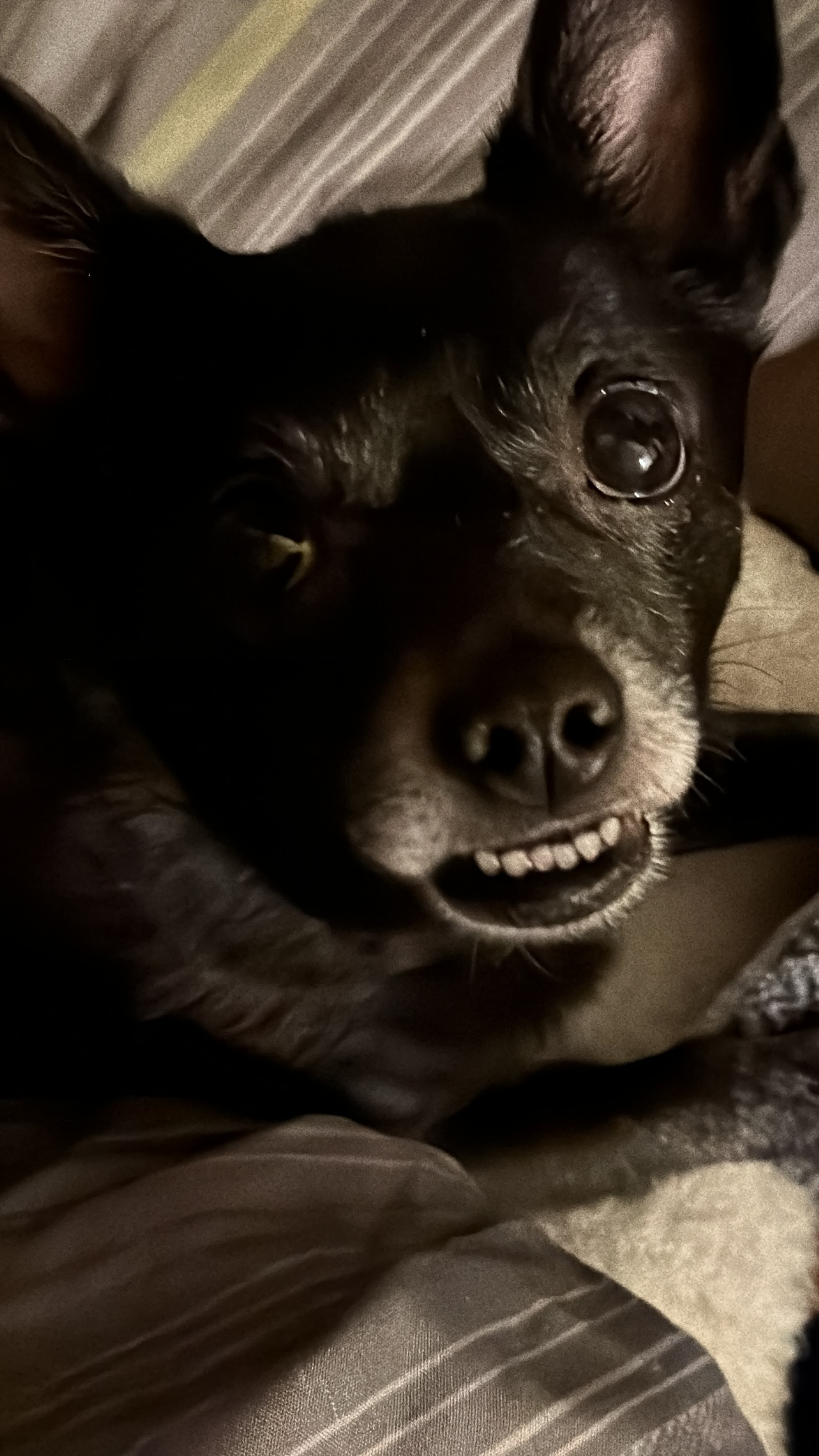 Please Help Mimy Get Lifesaving Surgery campaign photo, 2 of 7