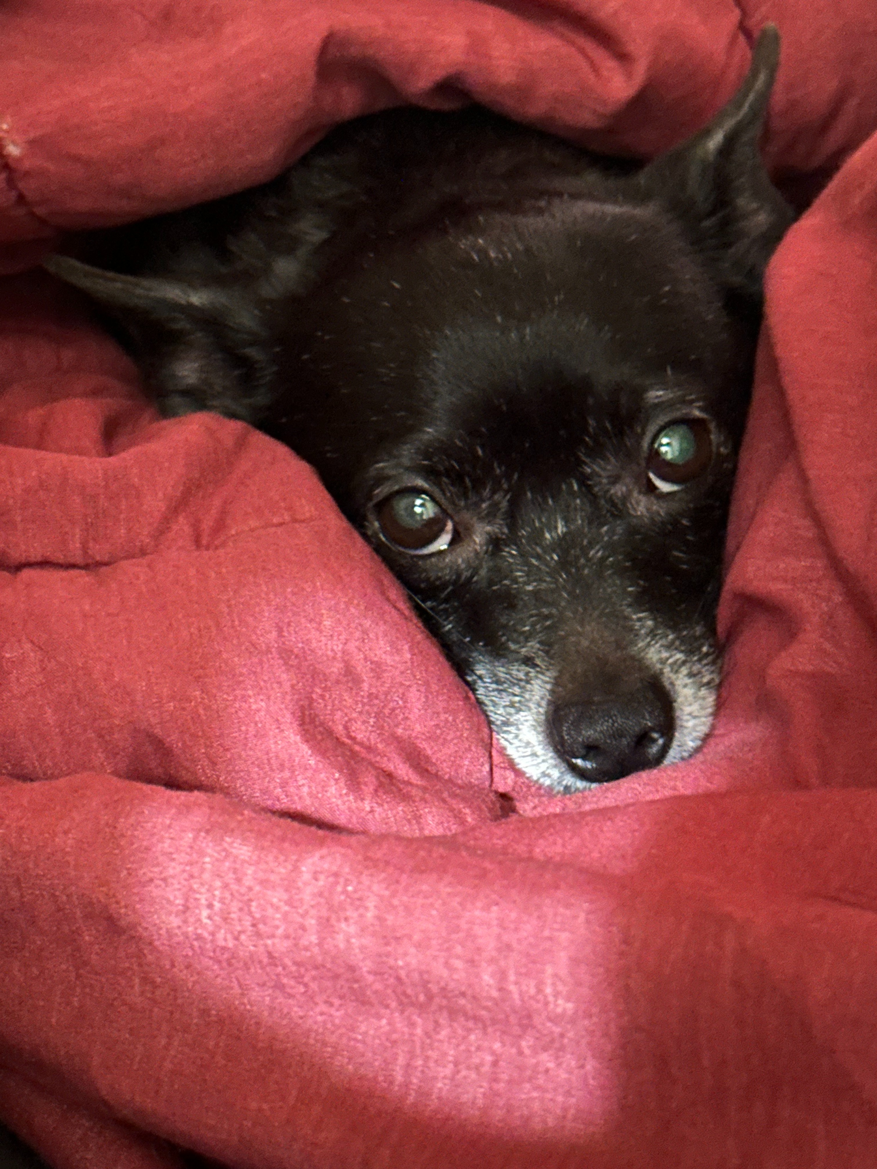 Please Help Mimy Get Lifesaving Surgery campaign photo, 4 of 7