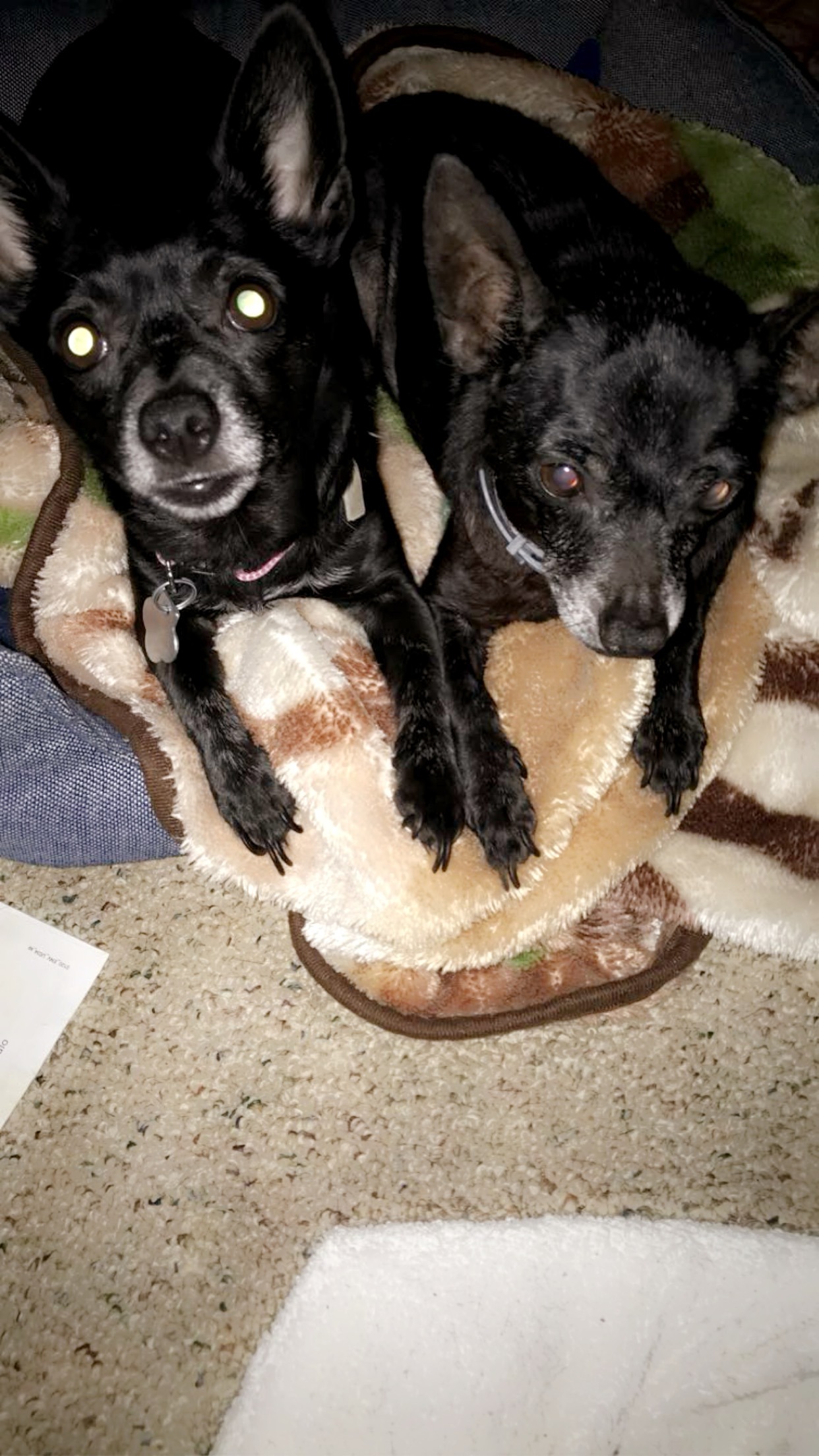 Please Help Mimy Get Lifesaving Surgery campaign photo, 5 of 7