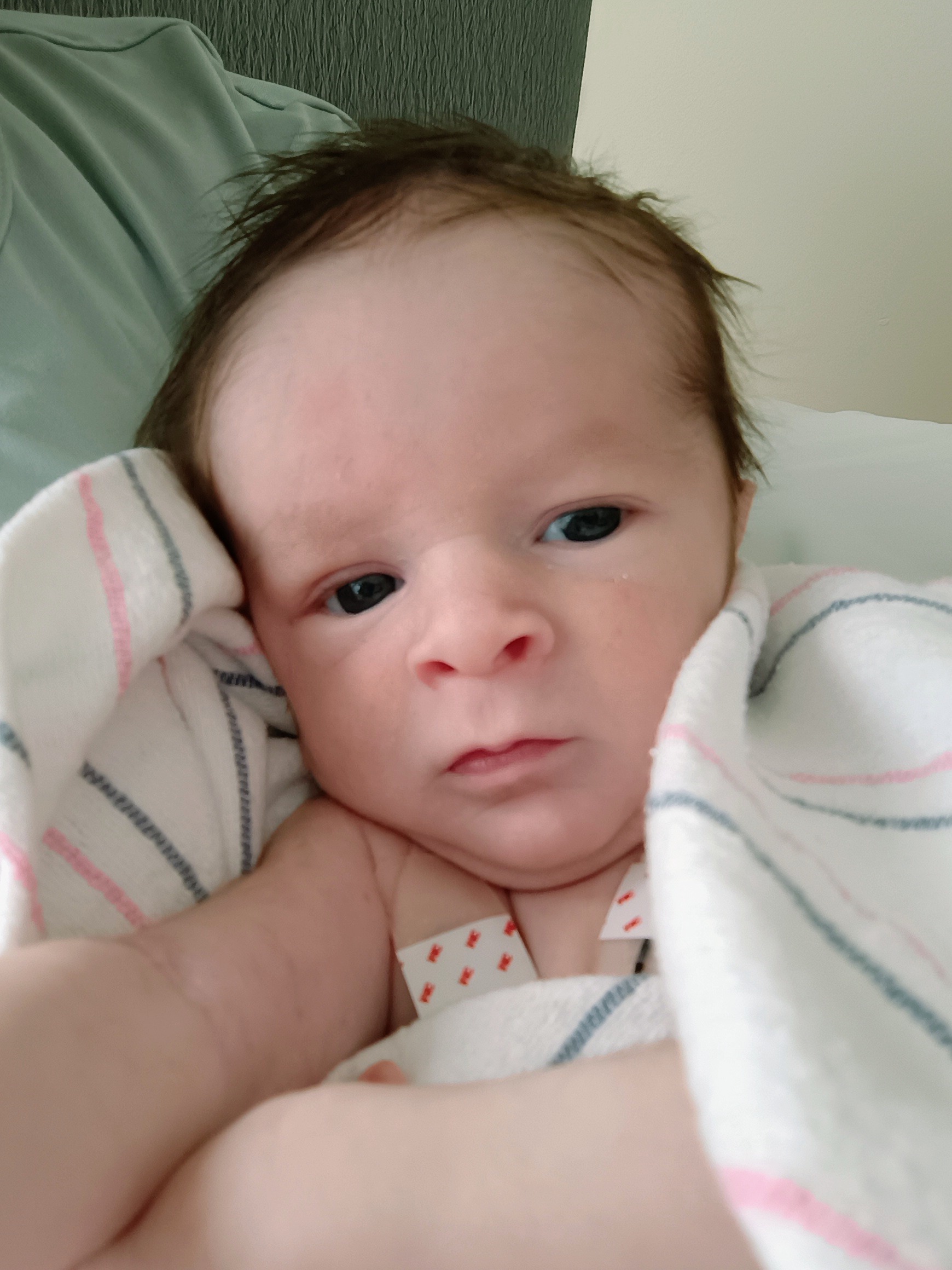 Help with Raven's surgeries and support campaign photo, 5 of 6