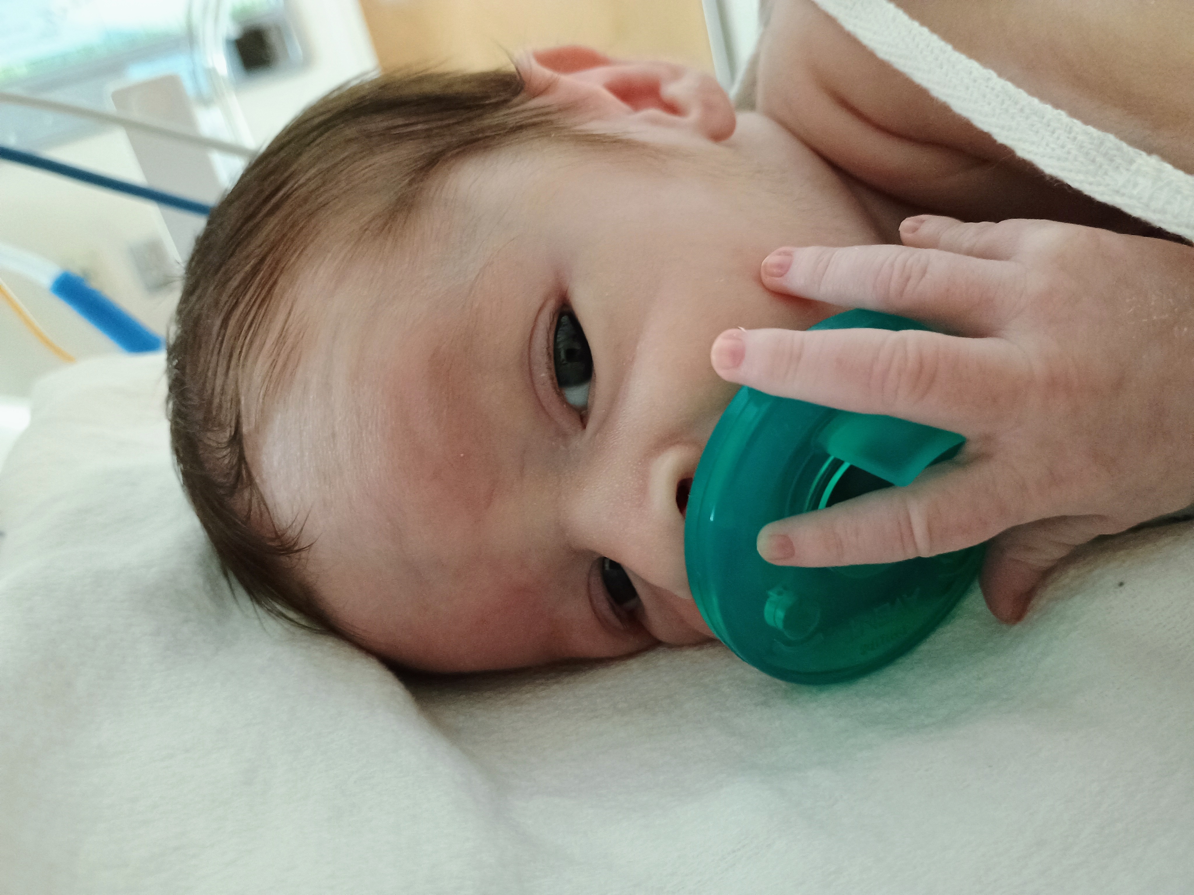Help with Raven's surgeries and support campaign photo, 4 of 6