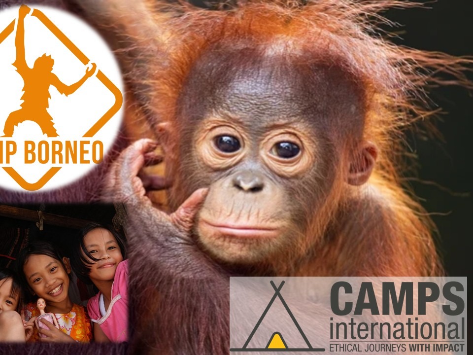 Lily's Adventure for Camps International Borneo campaign photo, 2 of 4