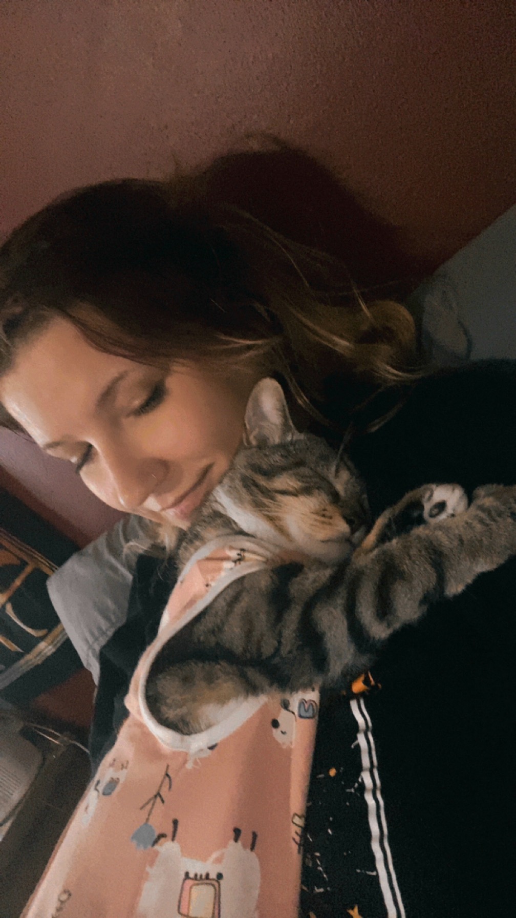 Surgery Fund for my Baby Kitty, Darla campaign photo, 2 of 7