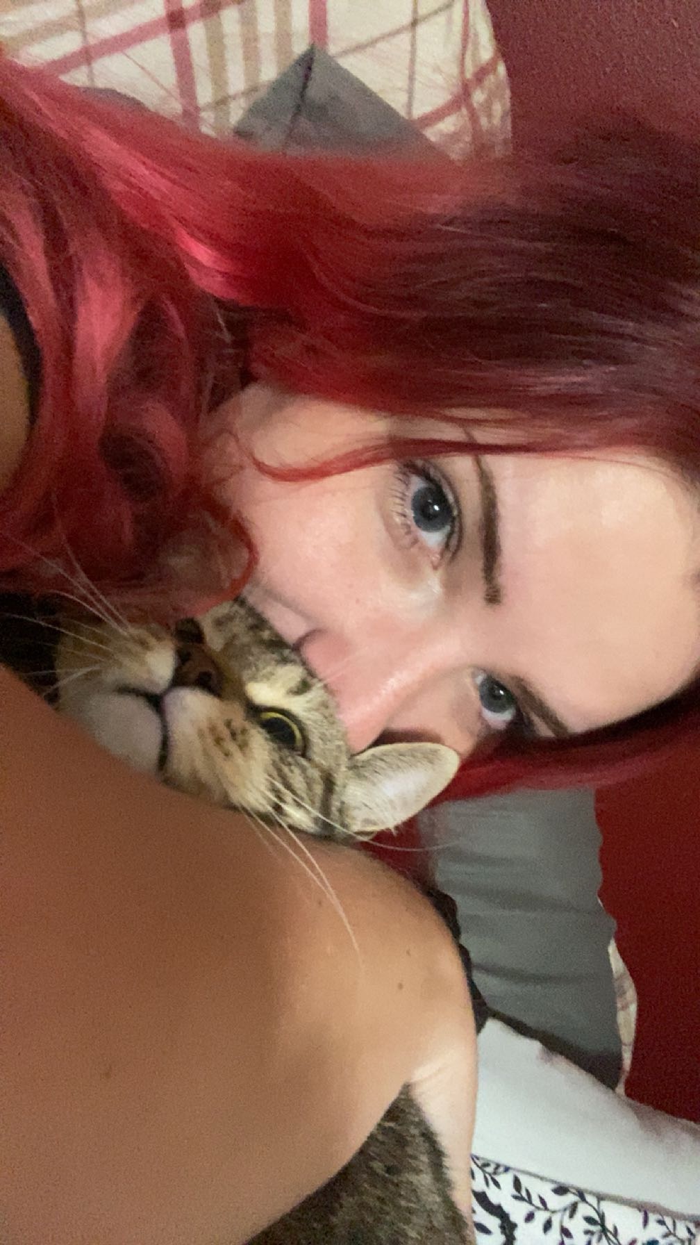 Surgery Fund for my Baby Kitty, Darla campaign photo, 5 of 7