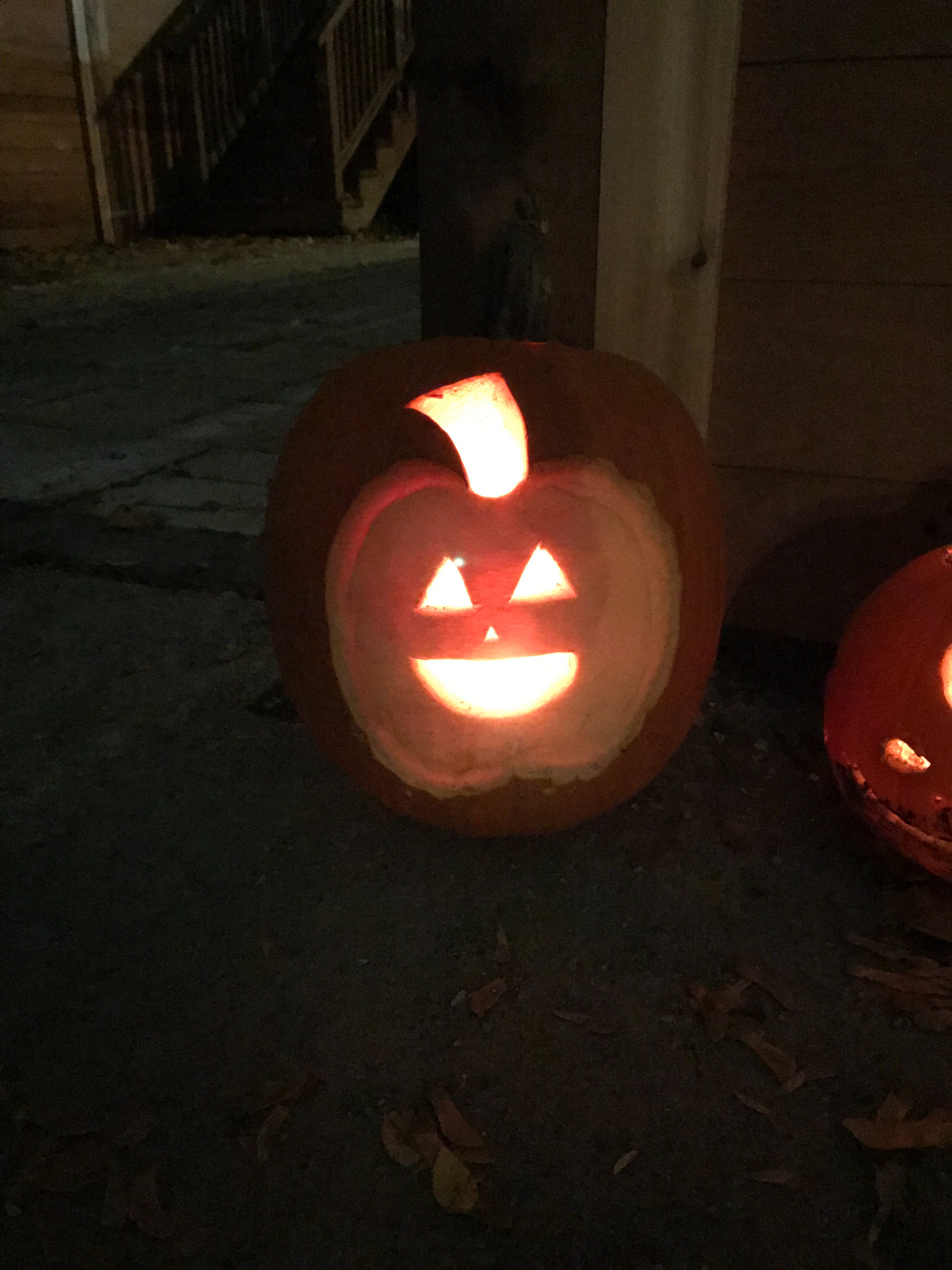 Support The Great Pumpkin Garden 2025: Together We Shine campaign photo, 2 of 7