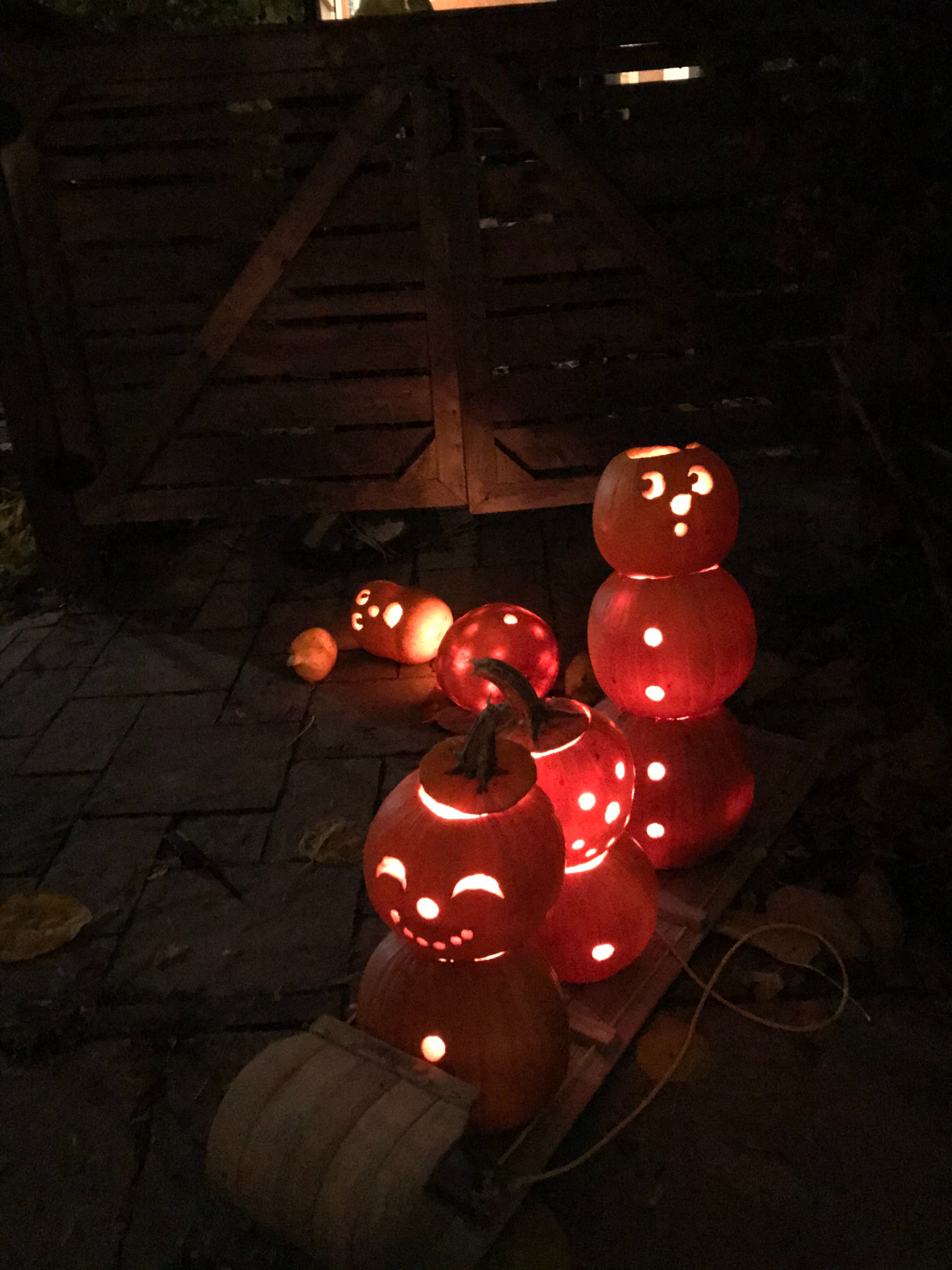 Support The Great Pumpkin Garden 2025: Together We Shine campaign photo, 4 of 7