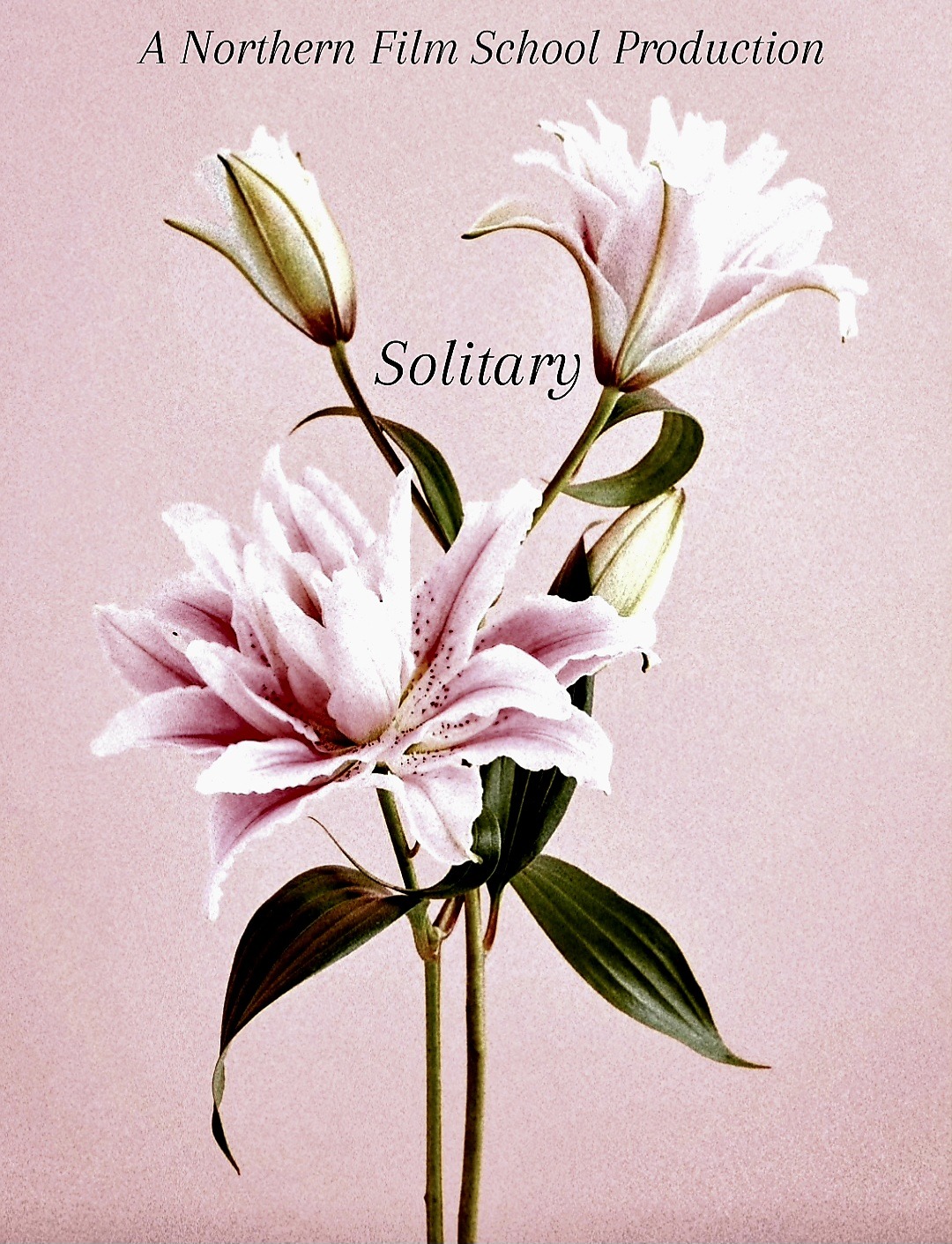 Solitary (Northern Film-School Short Film) campaign photo, 2 of 4