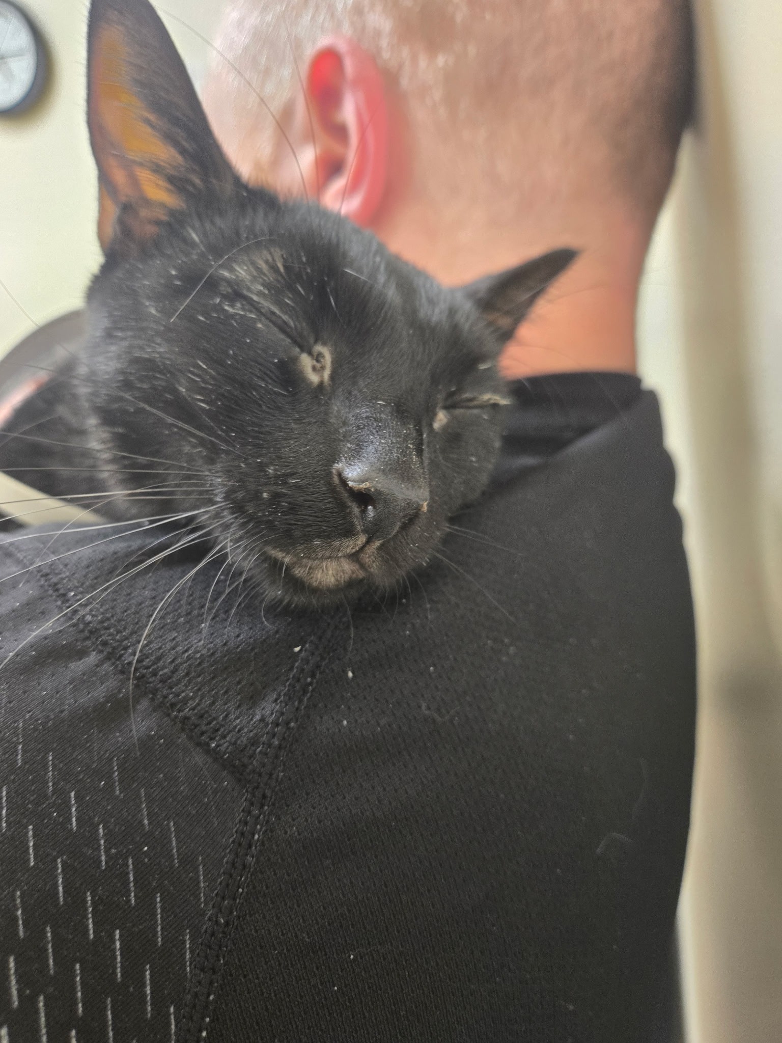 Save Butters: Urgent Medical Help Needed campaign photo, 2 of 8