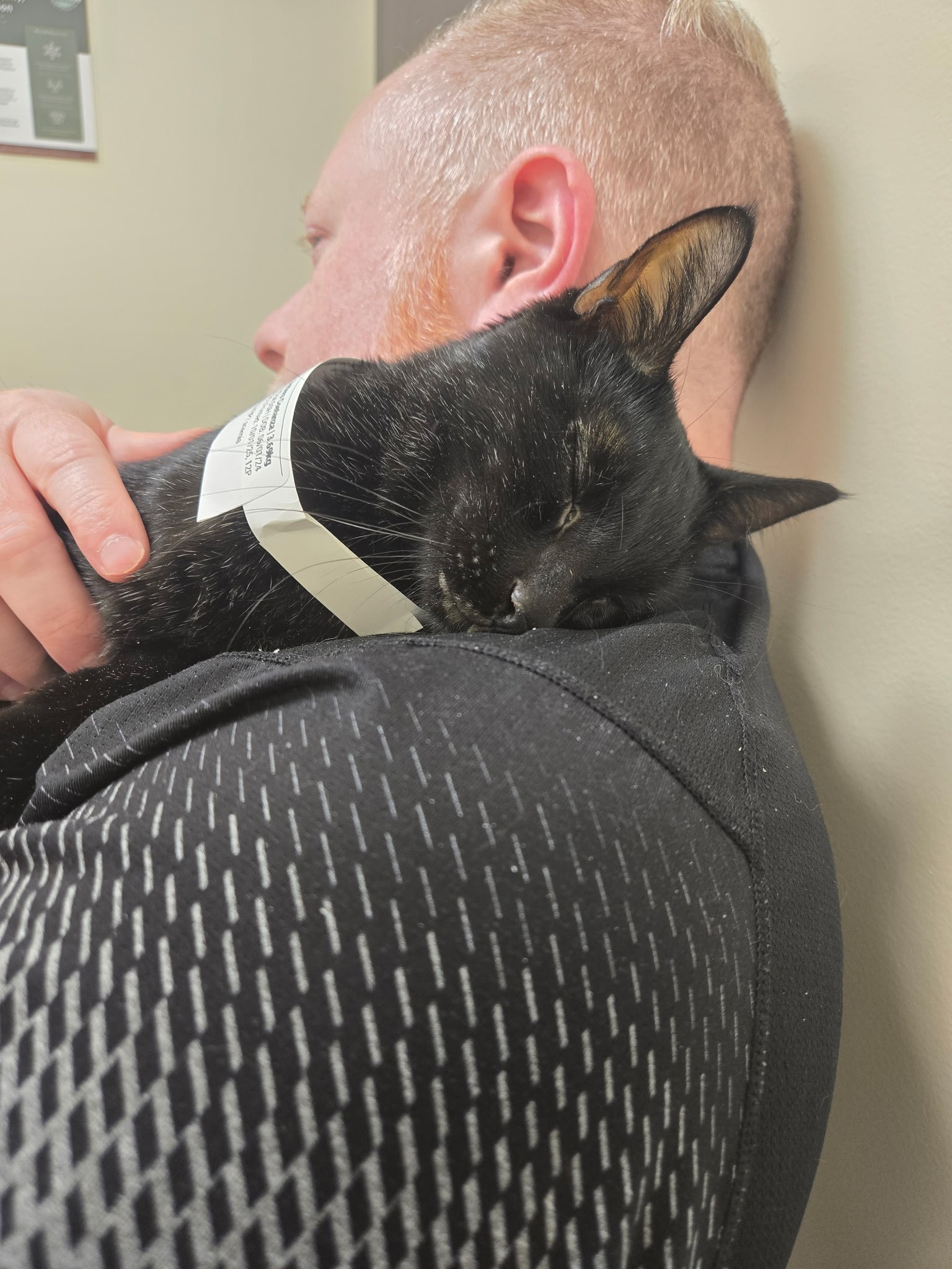 Save Butters: Urgent Medical Help Needed campaign photo, 4 of 8