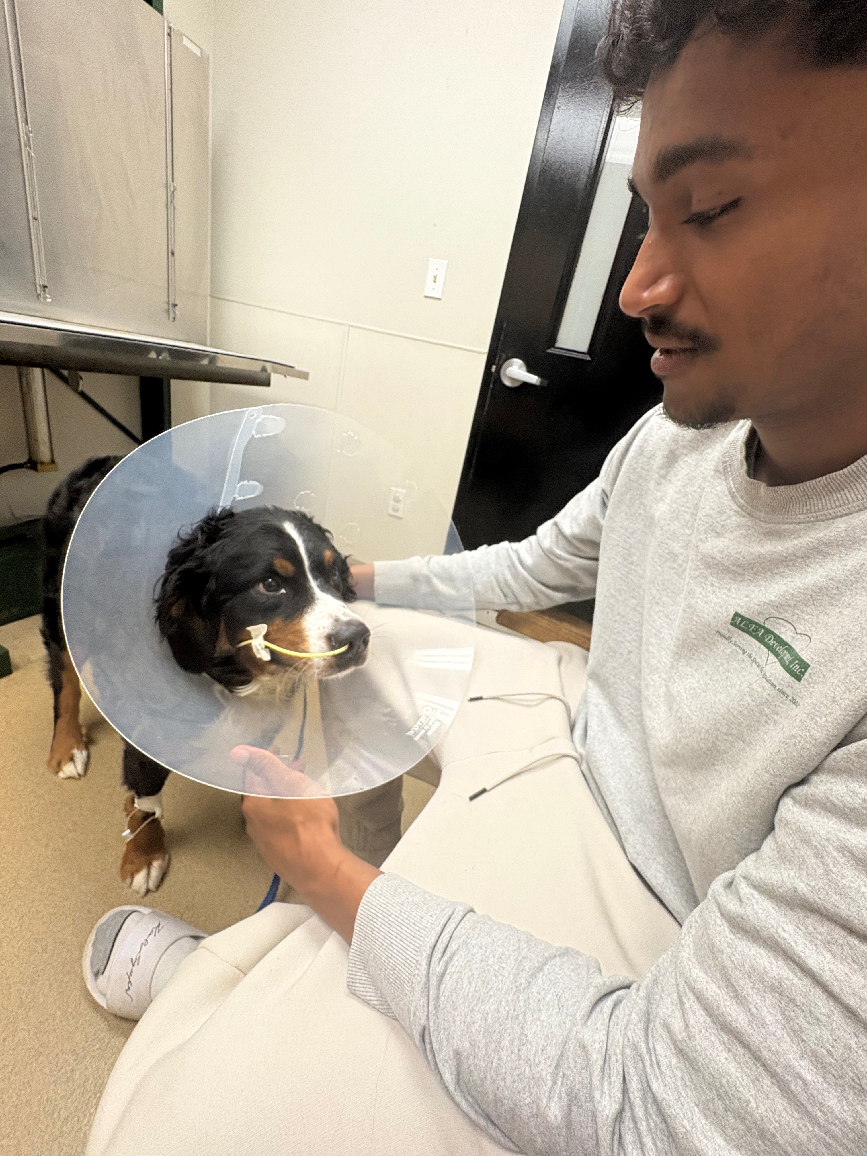 Rosie’s medical bills for surgery campaign photo, 2 of 8