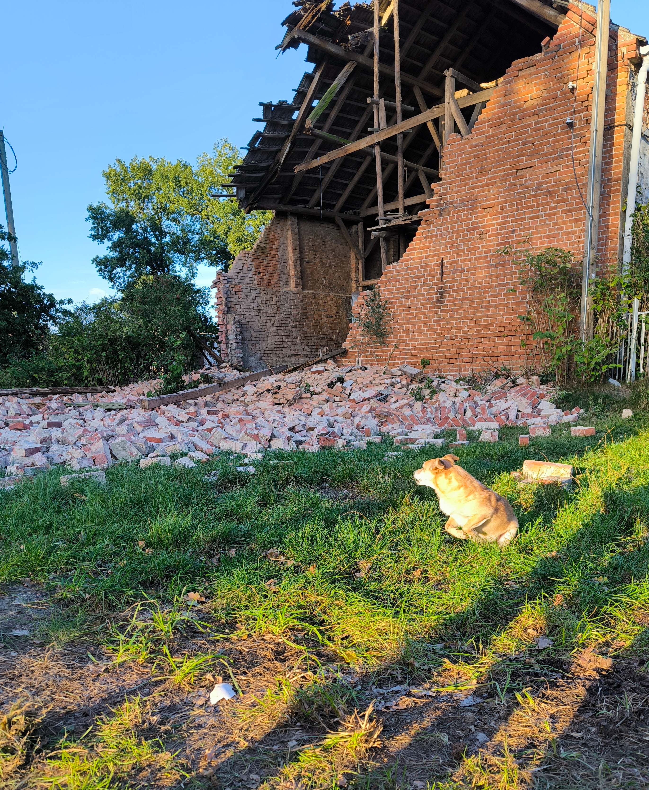 Gnadenhof "Kleine Farm" campaign photo, 6 of 8