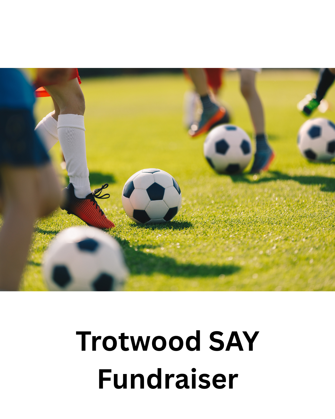 User-uploaded image 1