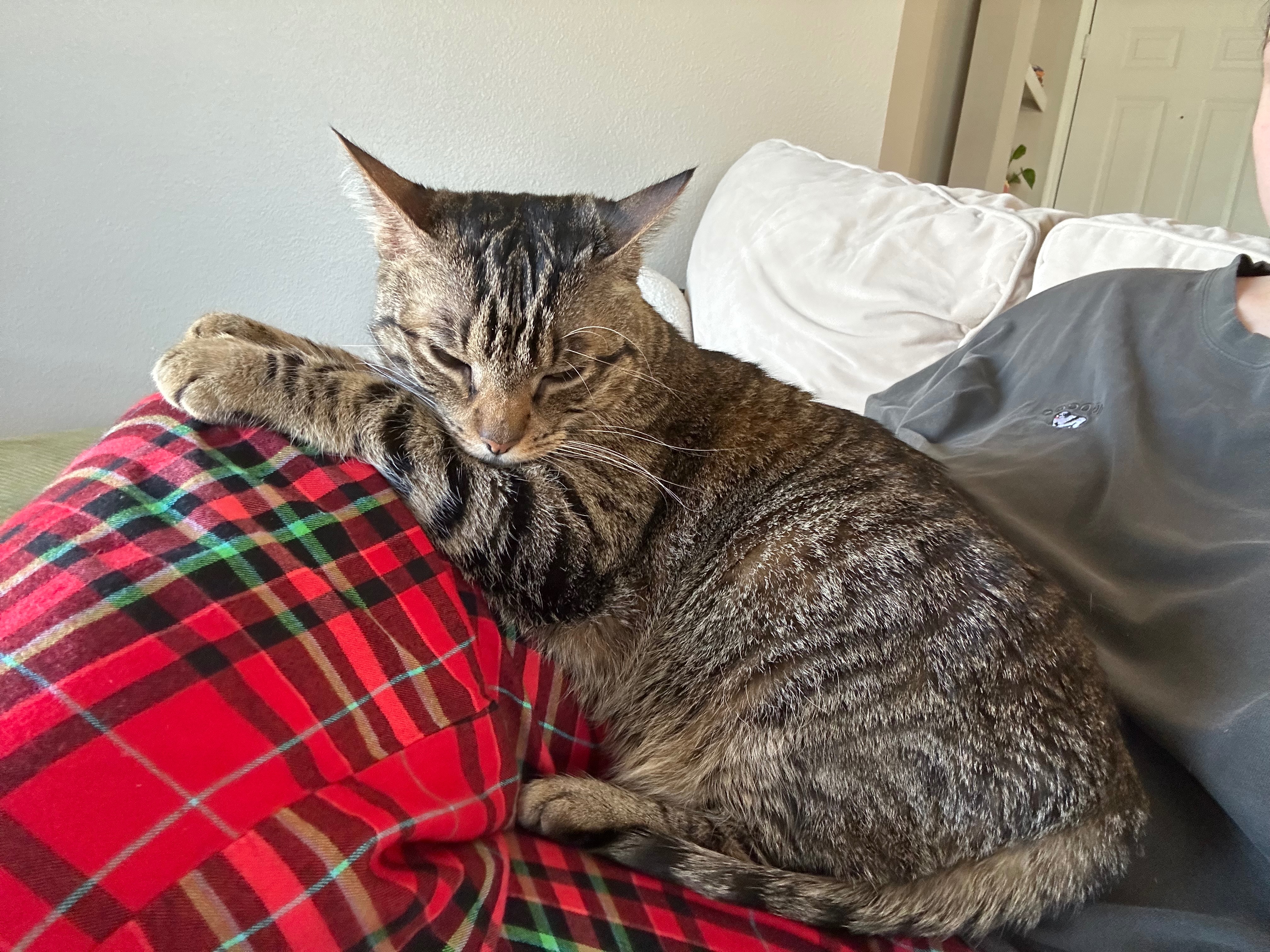 Help Pizza Fight Cancer campaign photo, 6 of 8
