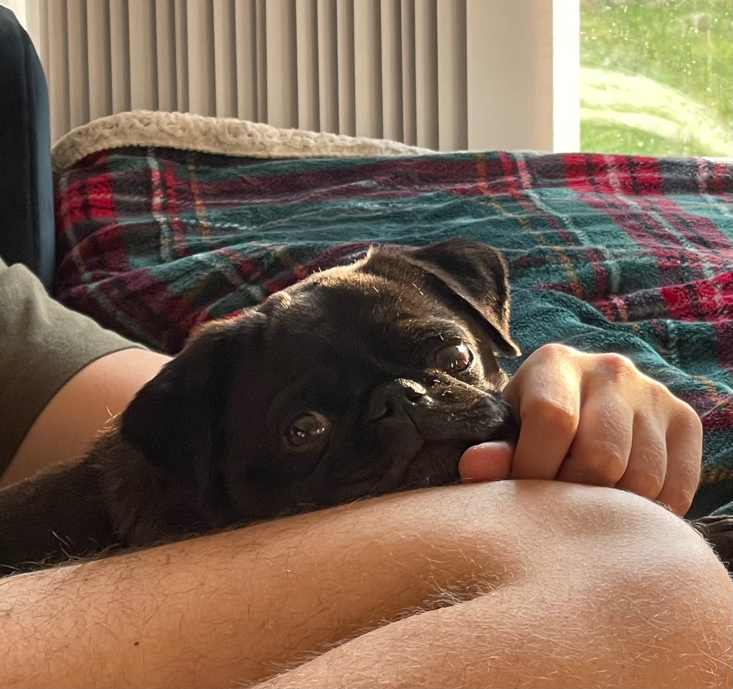 Help my little Luna bear campaign photo, 4 of 7