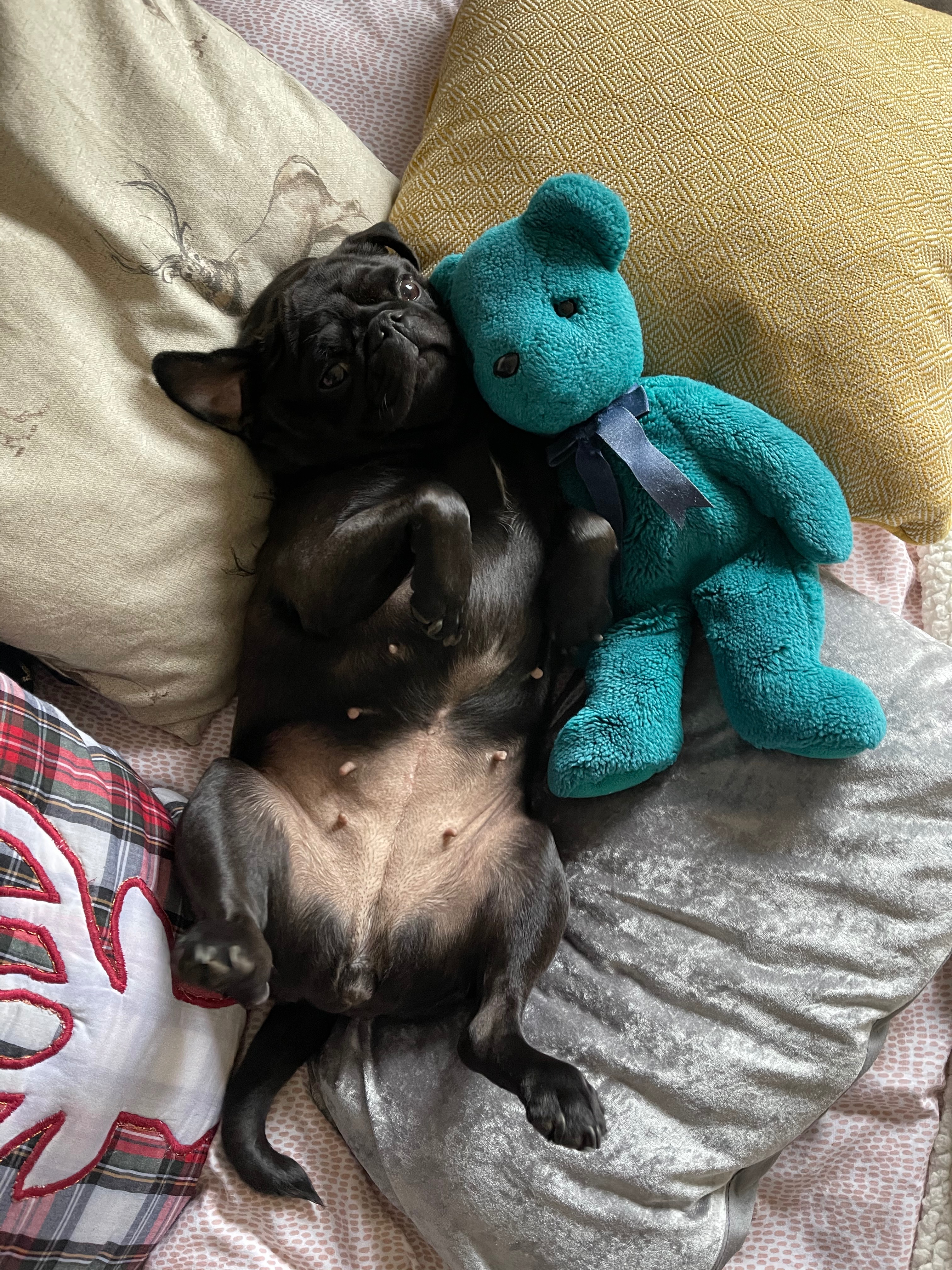 Help my little Luna bear campaign photo, 5 of 7