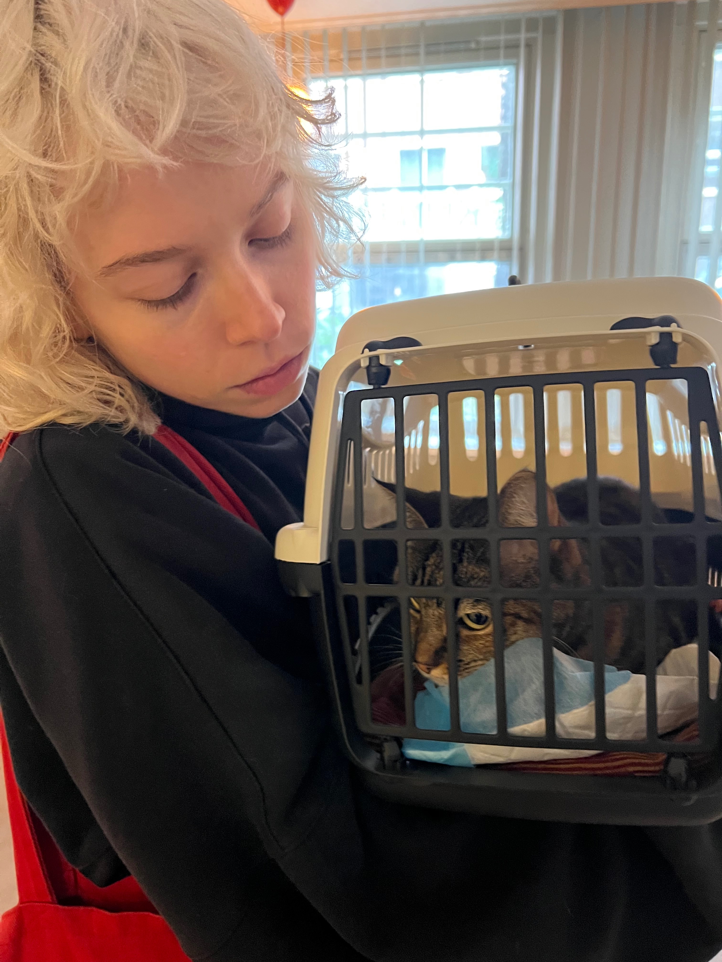 Rei broke three bones and needs surgery campaign photo, 6 of 6