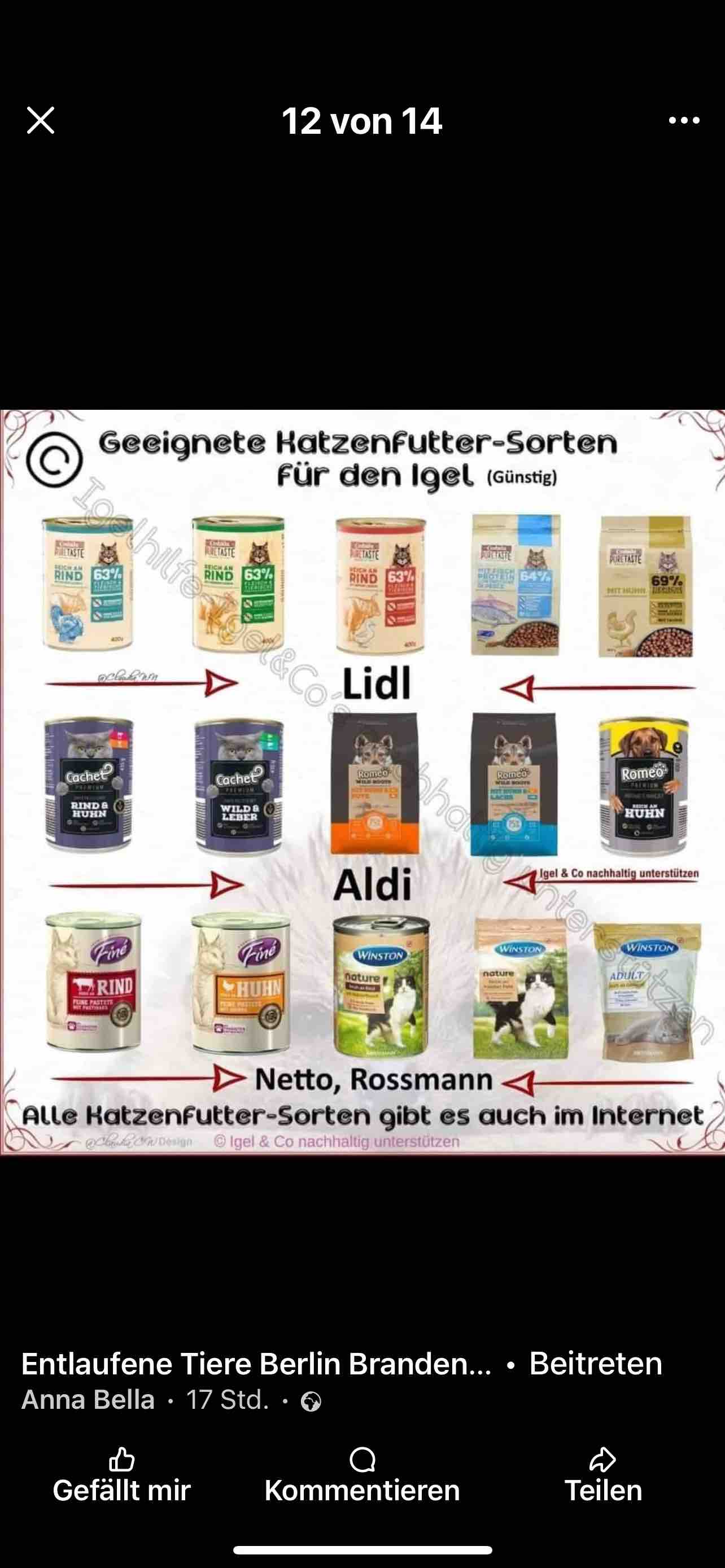 ❤️ Hilfe für gefundene Igelkinder ❤️ campaign photo, 4 of 6