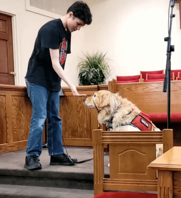Help Zach on his journey to get his new service dog campaign photo, 7 of 8