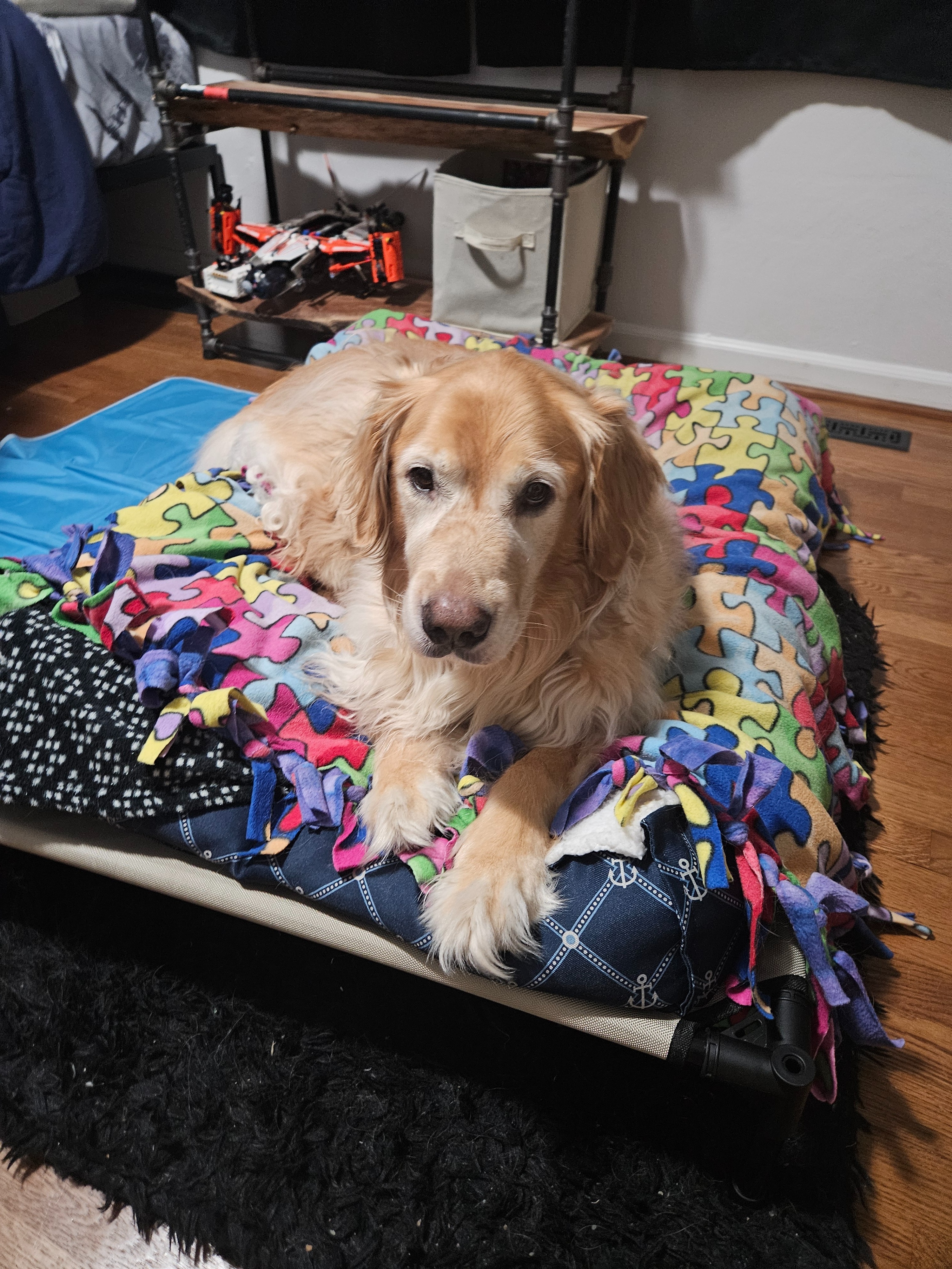 Help Zach on his journey to get his new service dog campaign photo, 5 of 8