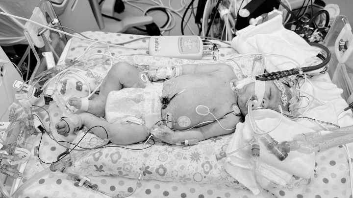 In Loving Memory of Baby Girl Avery campaign photo, 7 of 8