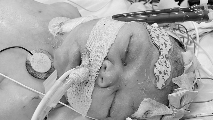 In Loving Memory of Baby Girl Avery campaign photo, 2 of 8