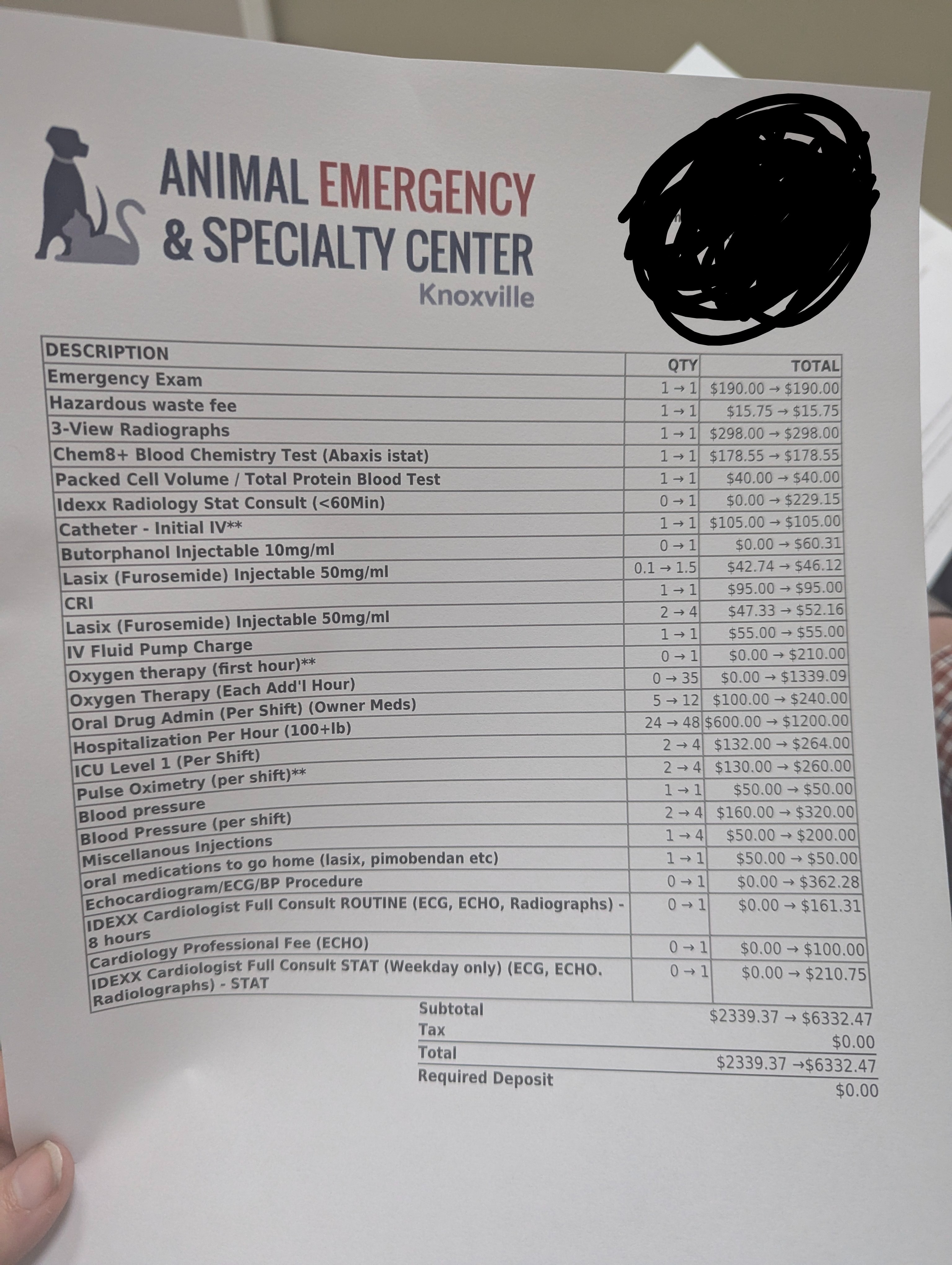 Retired Service Dog Beats CHF, with Valvular Heart Disease campaign photo, 2 of 5