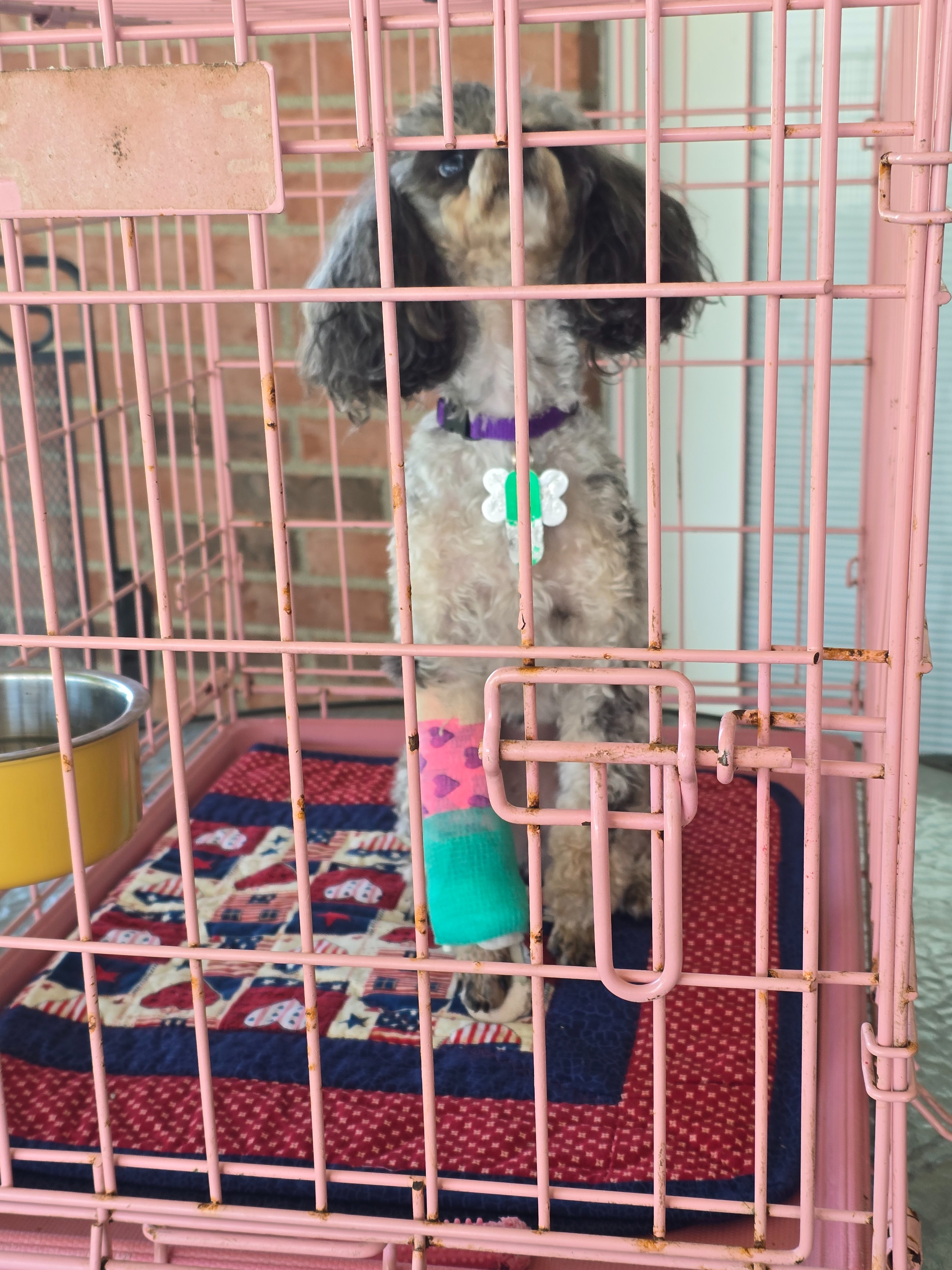 Help Angel get her surgery she needs campaign photo, 4 of 6