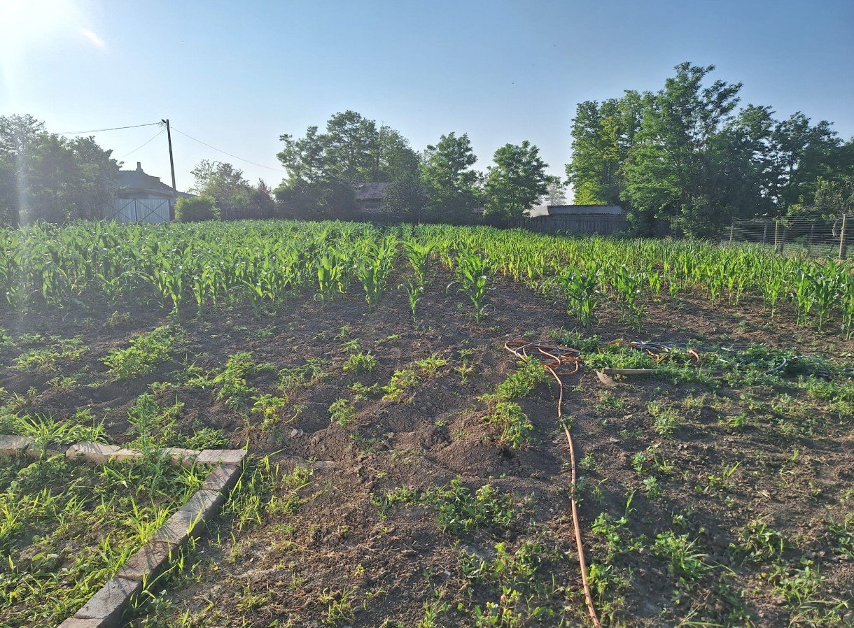 Growing Food, Growing Kindness – Adda’s Dream campaign photo, 7 of 8