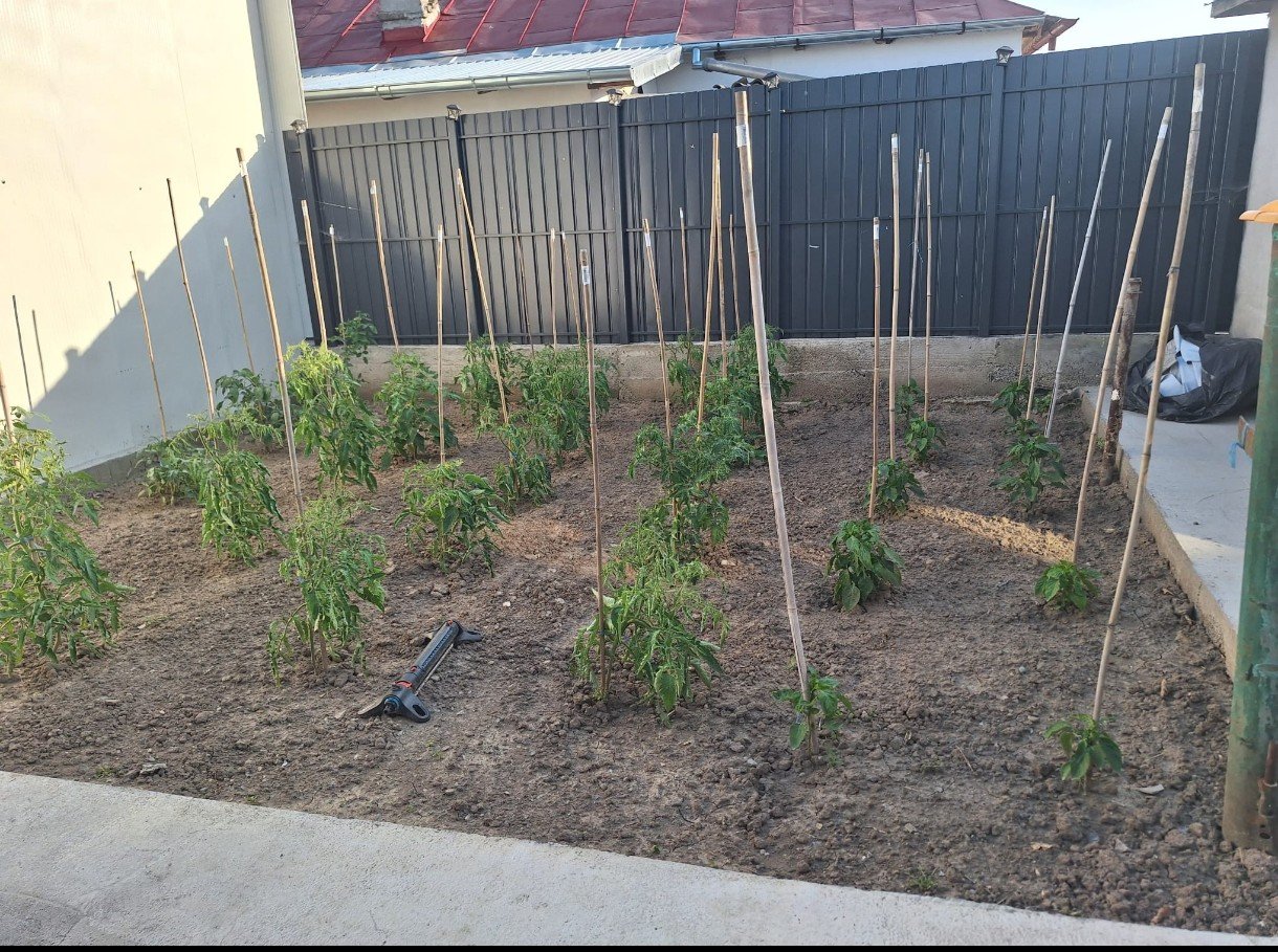 Growing Food, Growing Kindness – Adda’s Dream campaign photo, 5 of 8