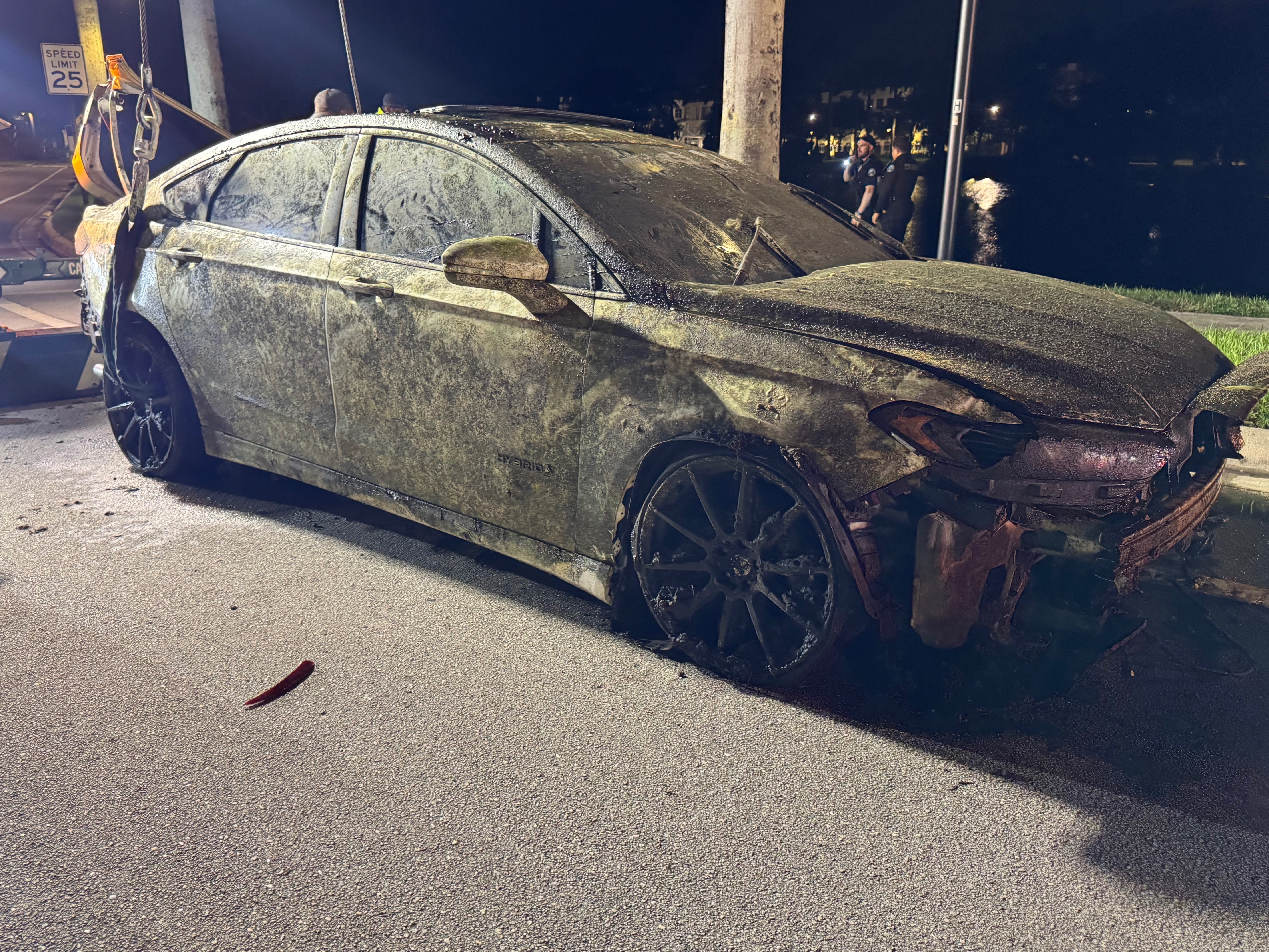 User-uploaded image 1