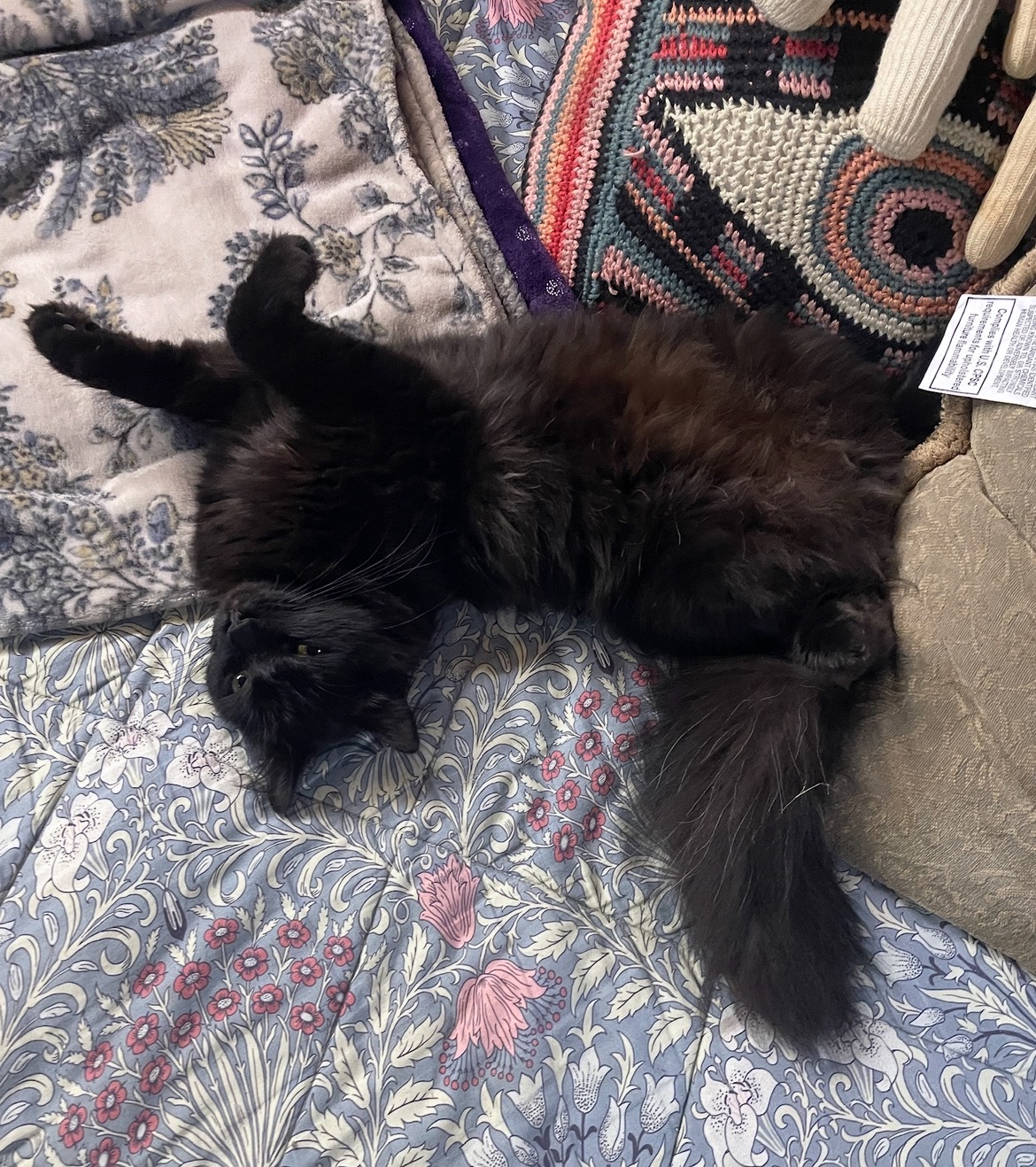 Help Lazzlo Overcome Life-Threatening Blockage campaign photo, 2 of 8