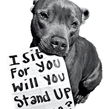 Healing Hearts, One Animal at a Time campaign photo, 5 of 6