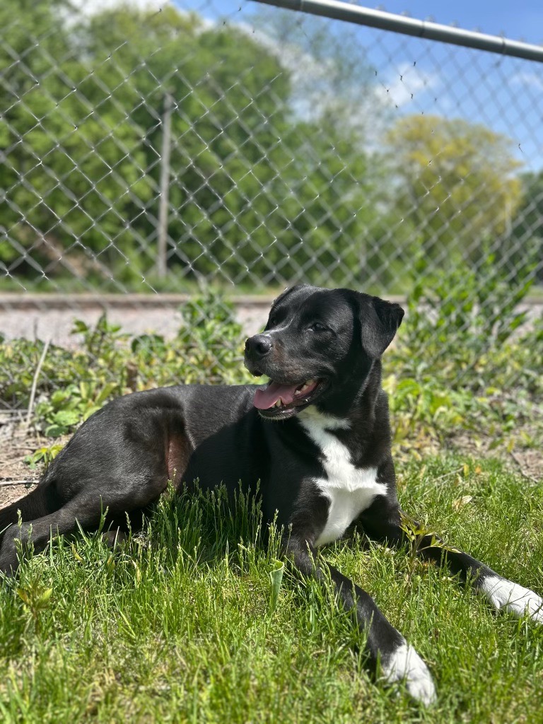 Support Rocky's Critical Care Journey campaign photo, 5 of 6