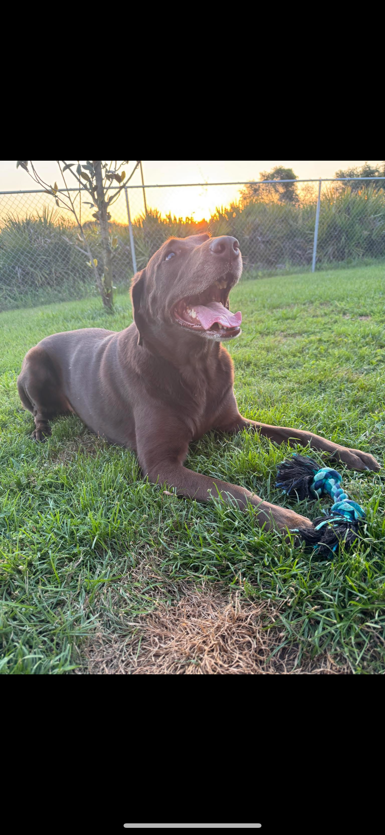 Help Gus Get The Care He Deserves campaign photo, 6 of 8