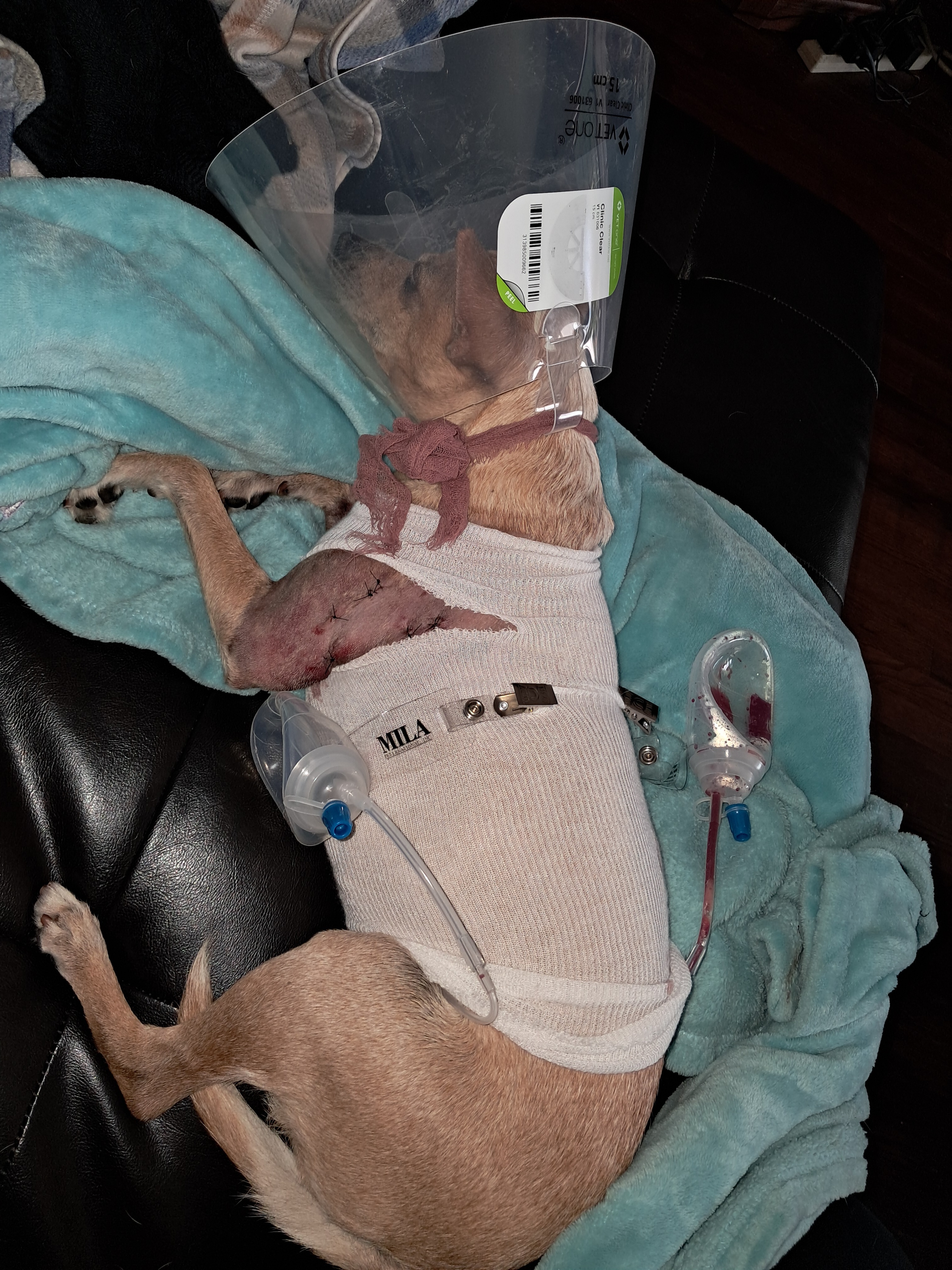 Baby's Recovery campaign photo, 2 of 8