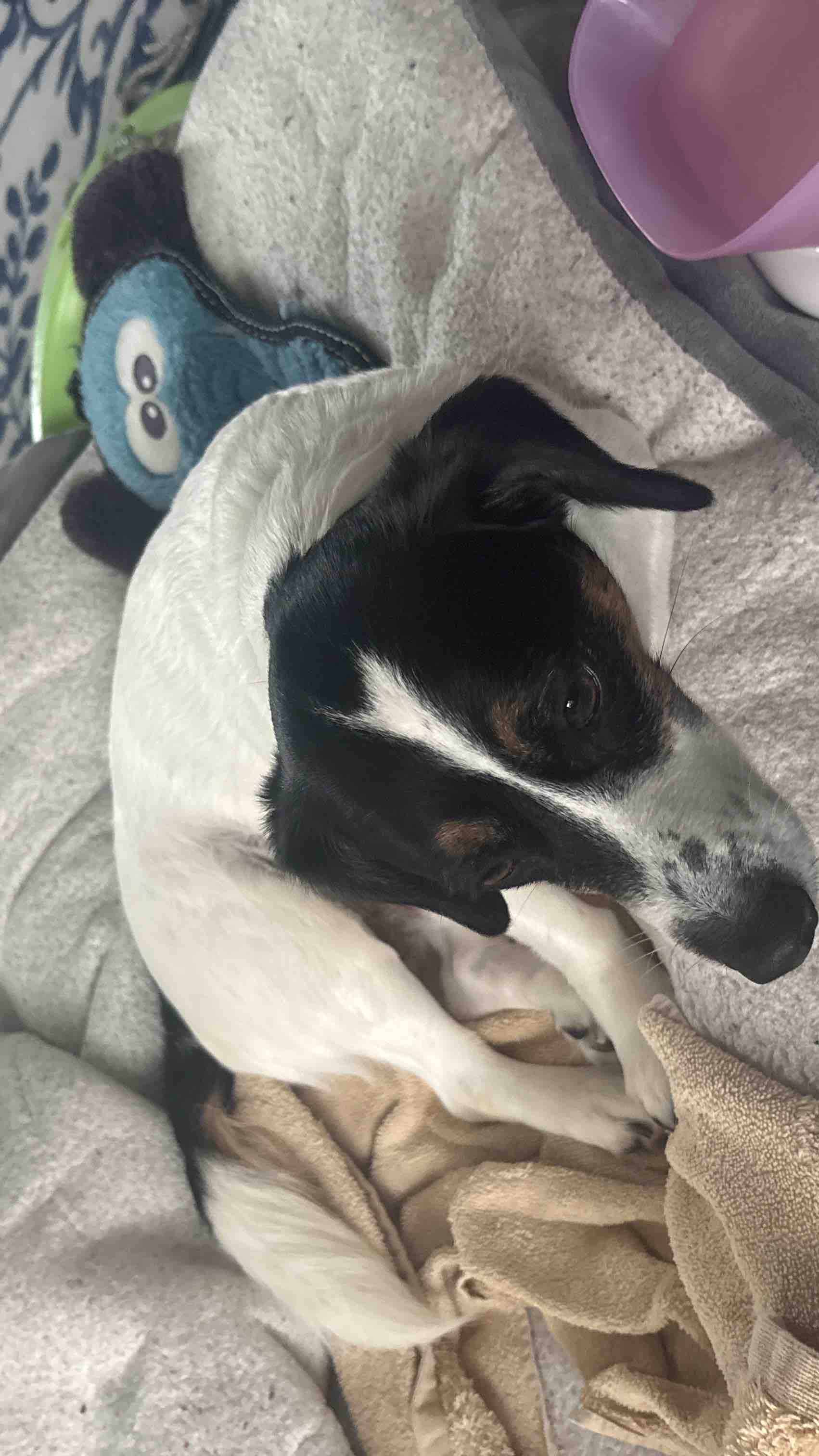 Donate to help Douglas get surgery