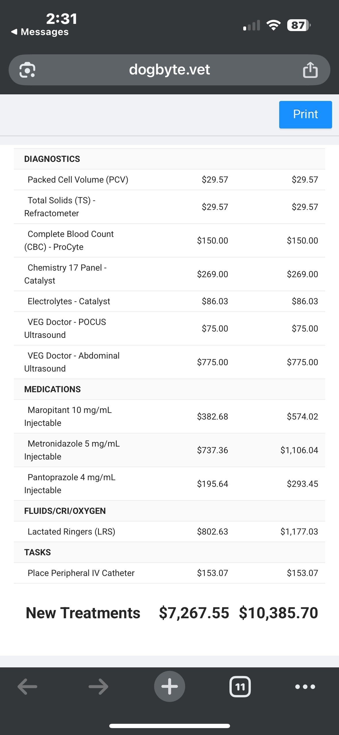 Emergency vet bills for service dog Milo VII campaign photo, 6 of 7