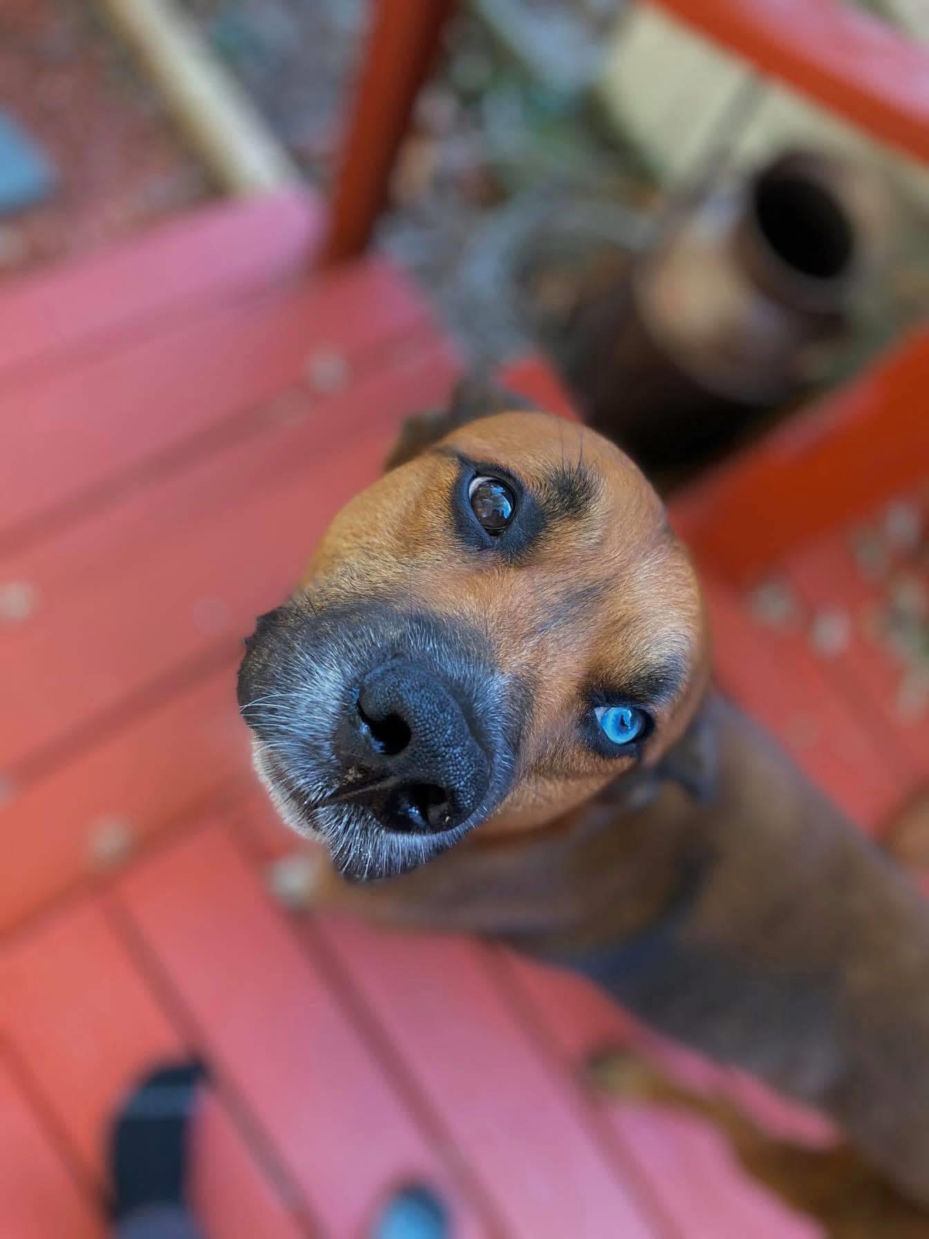 Donate and share to help us save Kayto campaign photo, 2 of 5