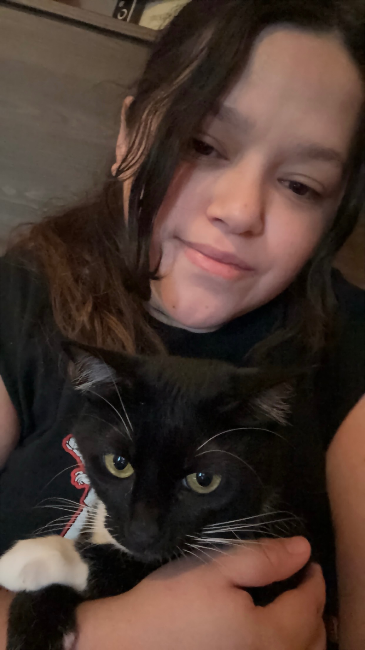 Help My Cat Get Surgery campaign photo, 6 of 7
