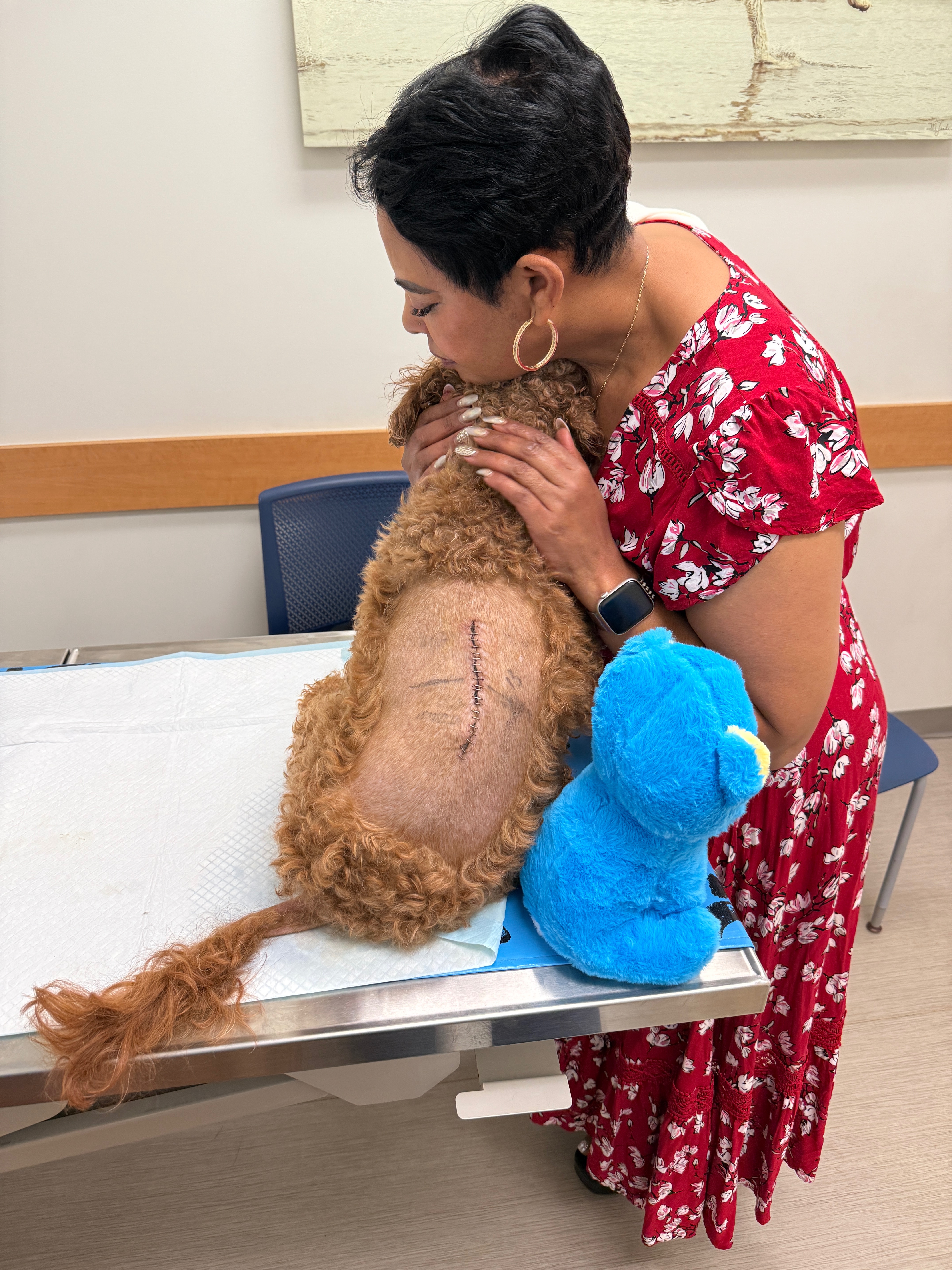 Help Buchu Walk Again After Emergency Spinal Surgery (IVDD) campaign photo, 5 of 7
