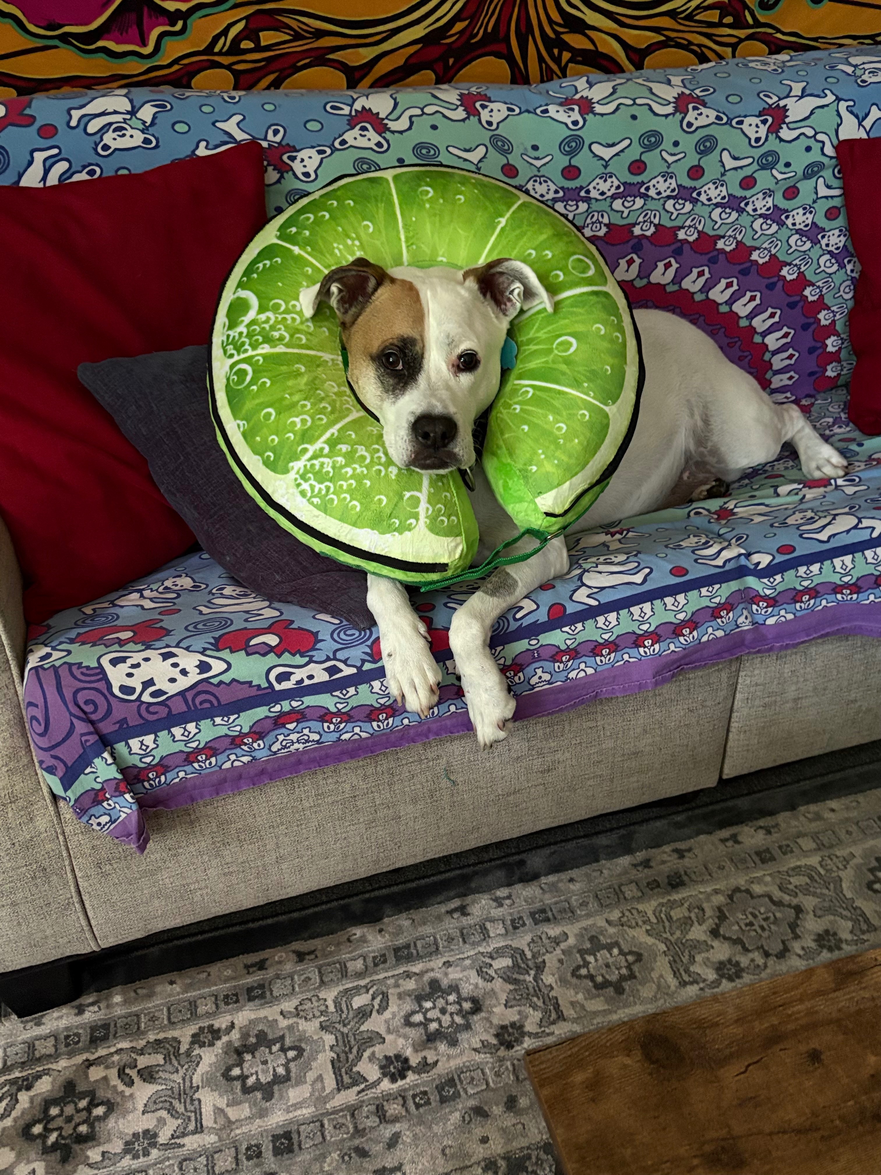 Help Support Oliver's Fight Against Cancer campaign photo, 4 of 8