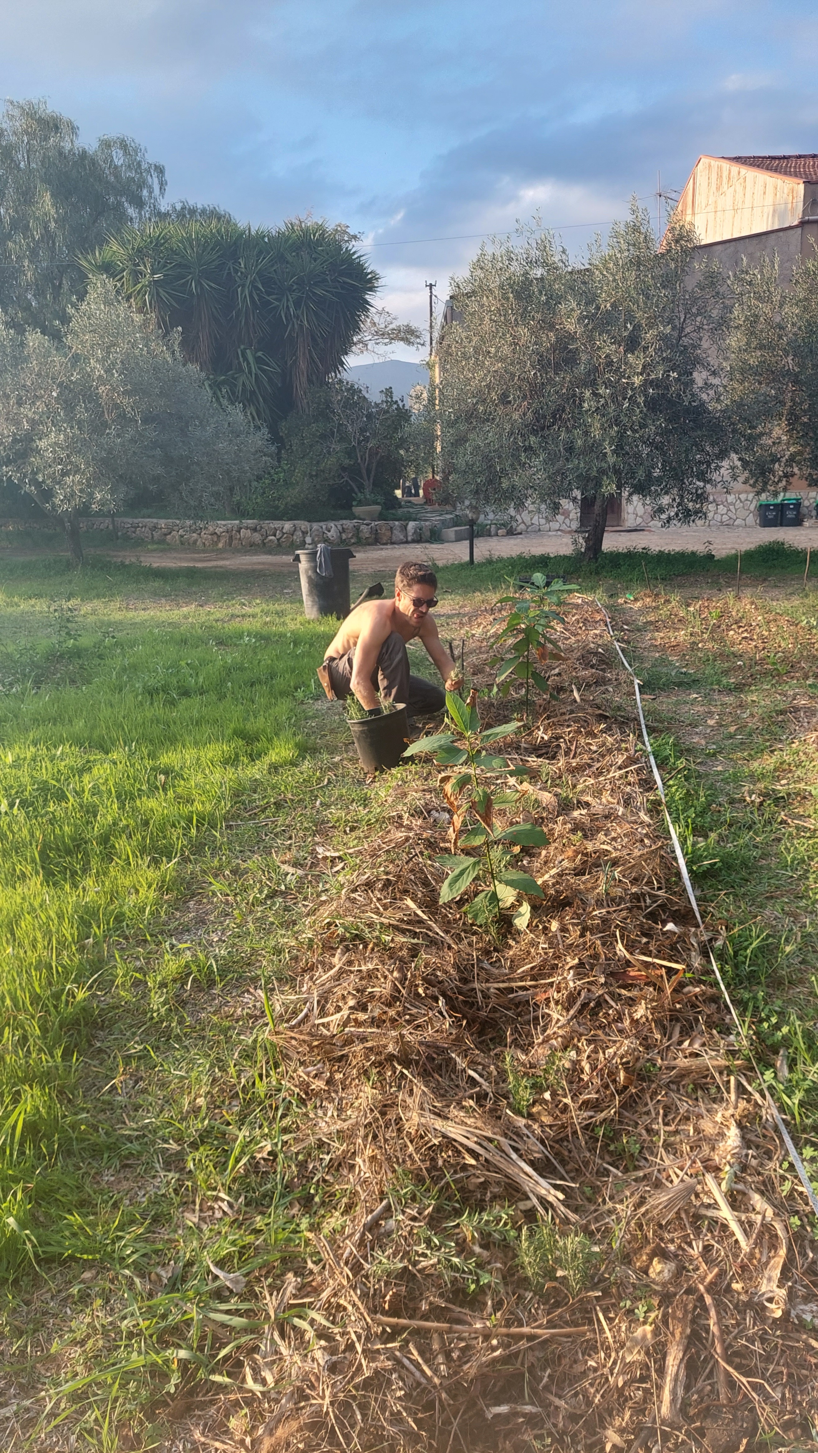 Costruiamo insieme un'agroforesta in Sicilia campaign photo, 4 of 8