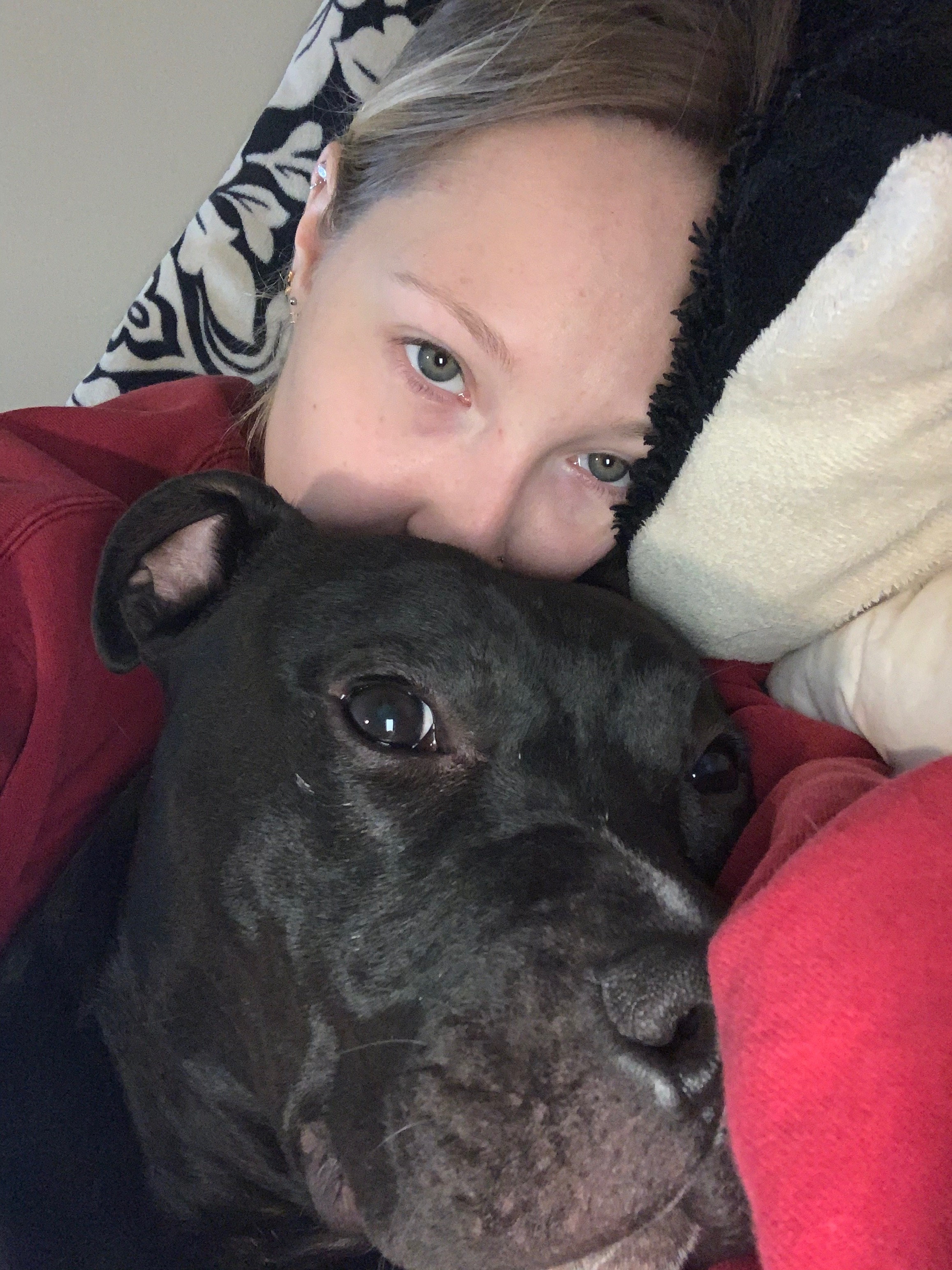 Help save Apollo from life threatening IMHA campaign photo, 5 of 8