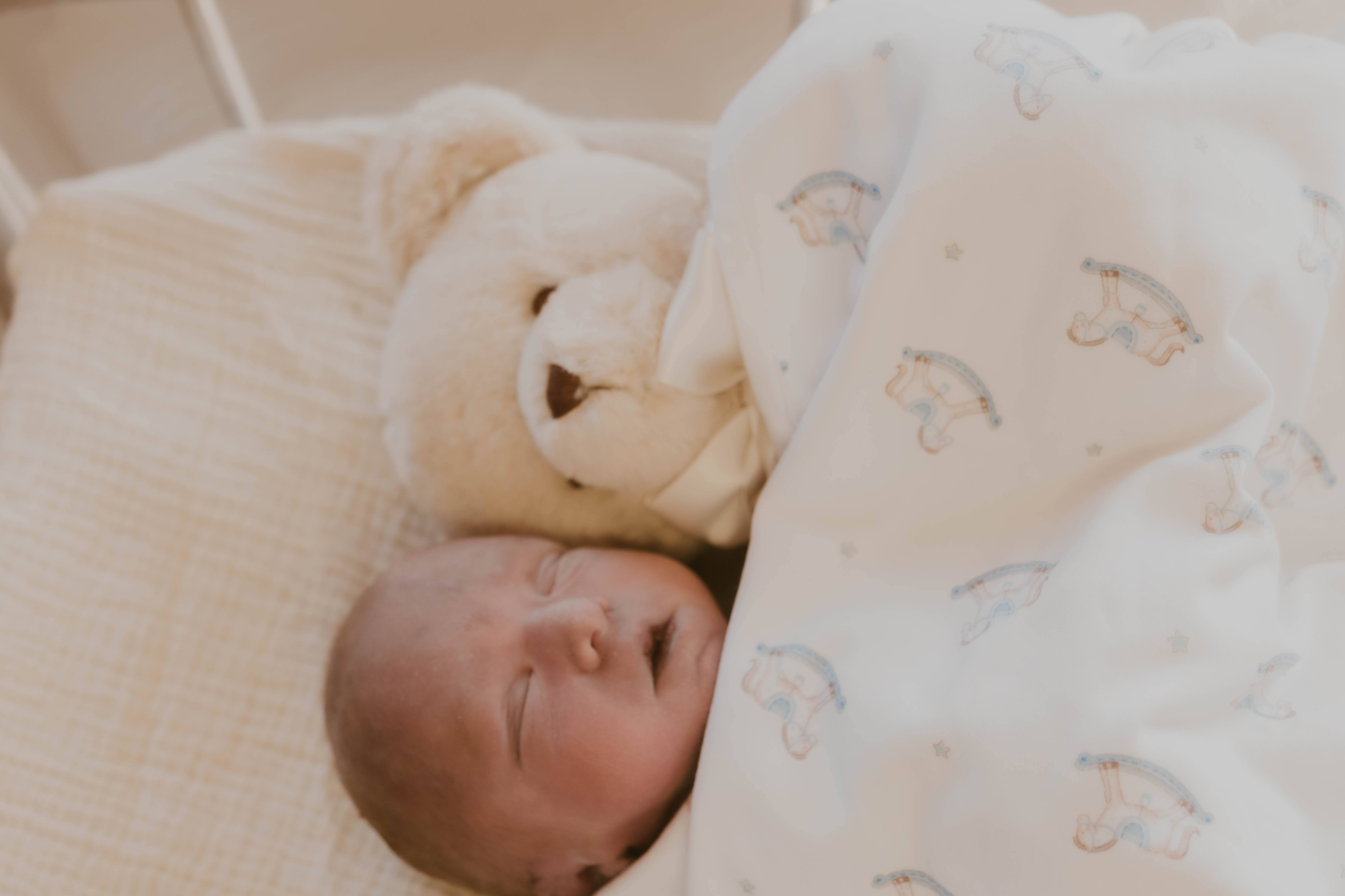 Support Bereaved Parents: Cuddle Cot in Memory of Ellis campaign photo, 2 of 5
