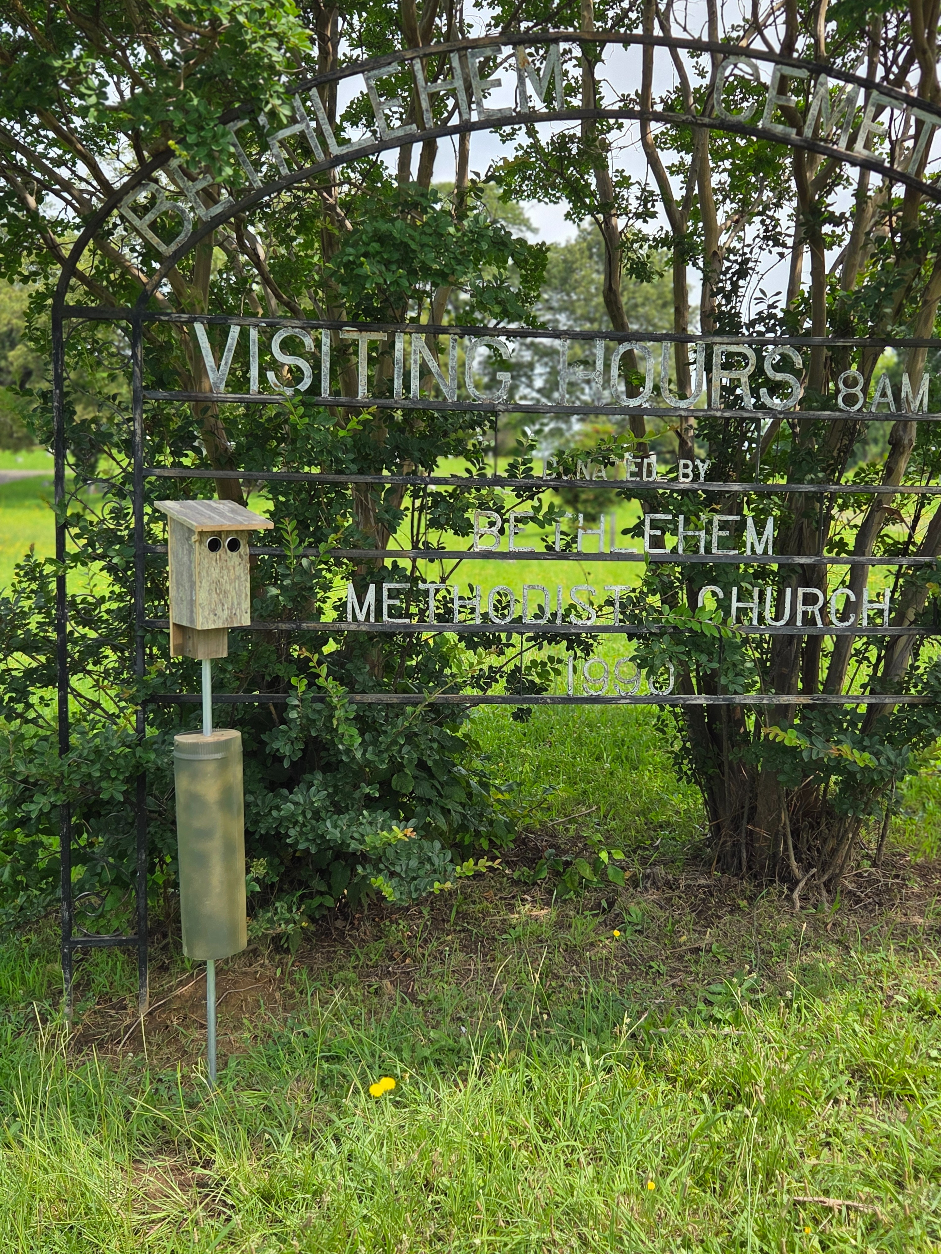 Friends of Bethlehem Cemetery (Capleville, Tennessee) campaign photo, 2 of 5