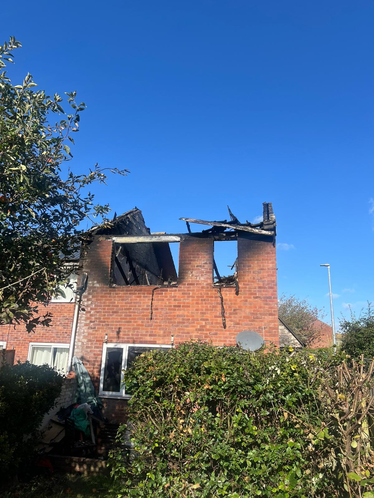 User-uploaded image 1