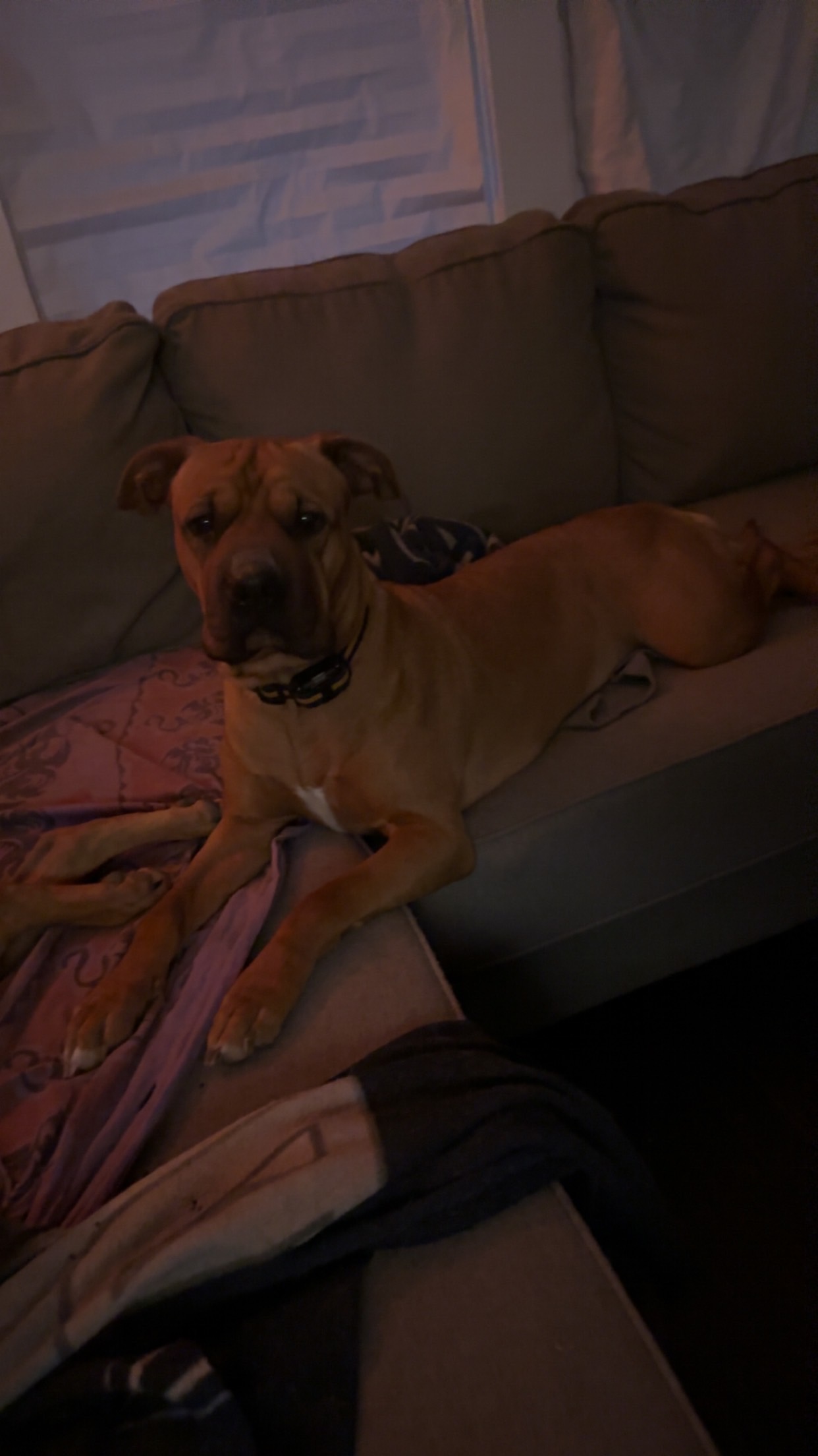 Please help me save my stink butt campaign photo, 4 of 8