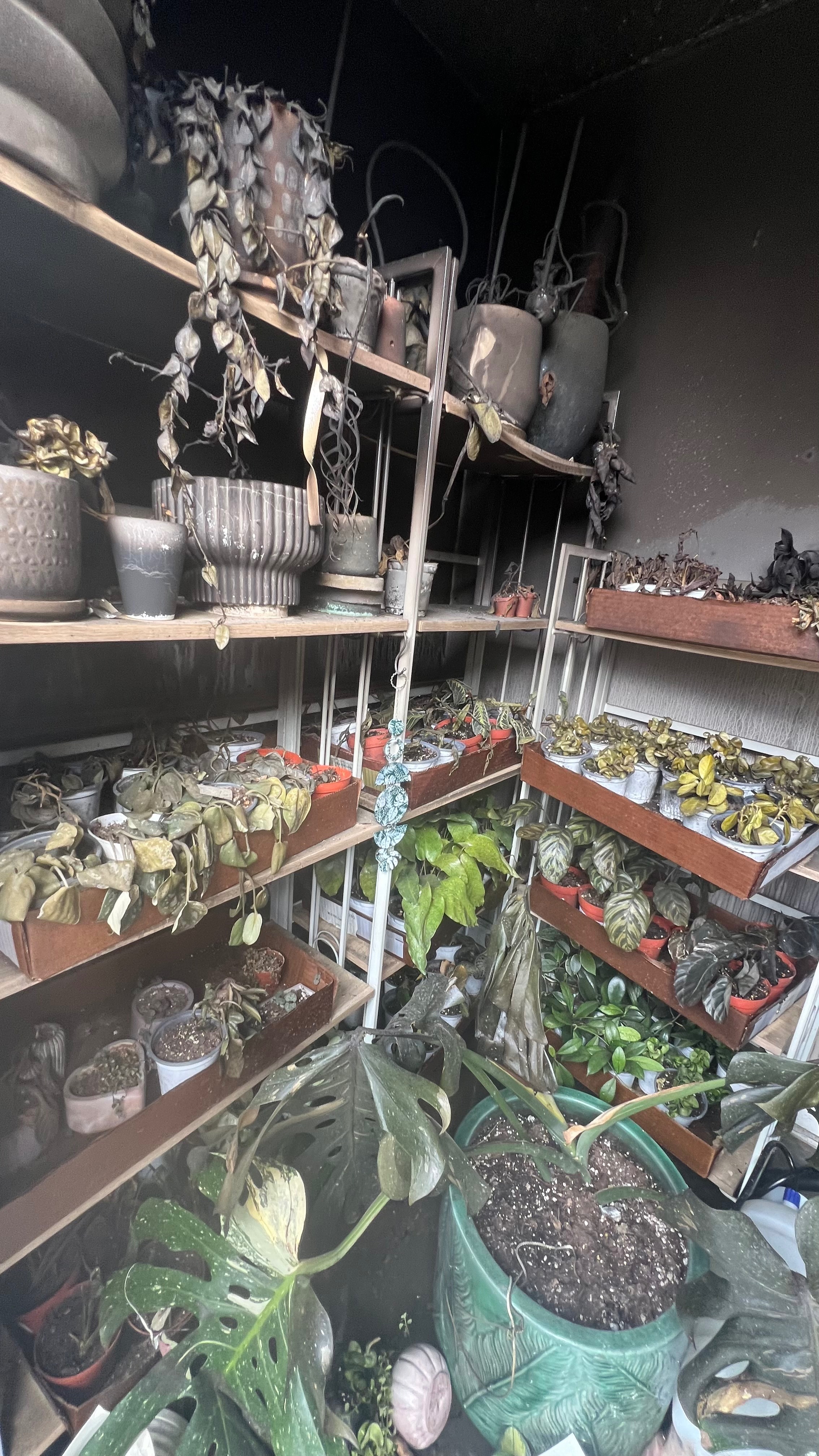 Help Lauren from Wild Vine Rebuild After House Fire campaign photo, 2 of 8