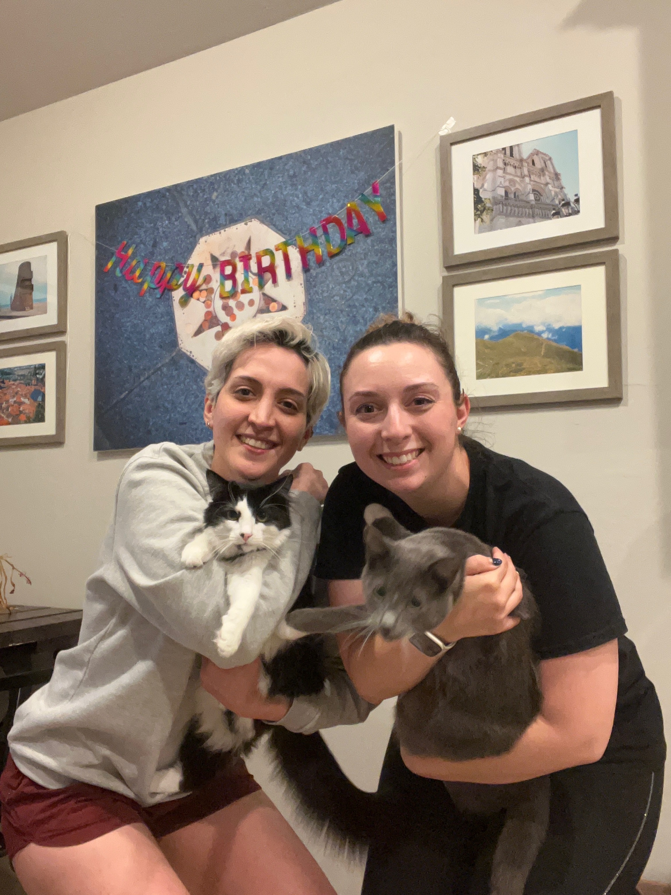 Help Pancake Recover from Emergency Surgery campaign photo, 2 of 8