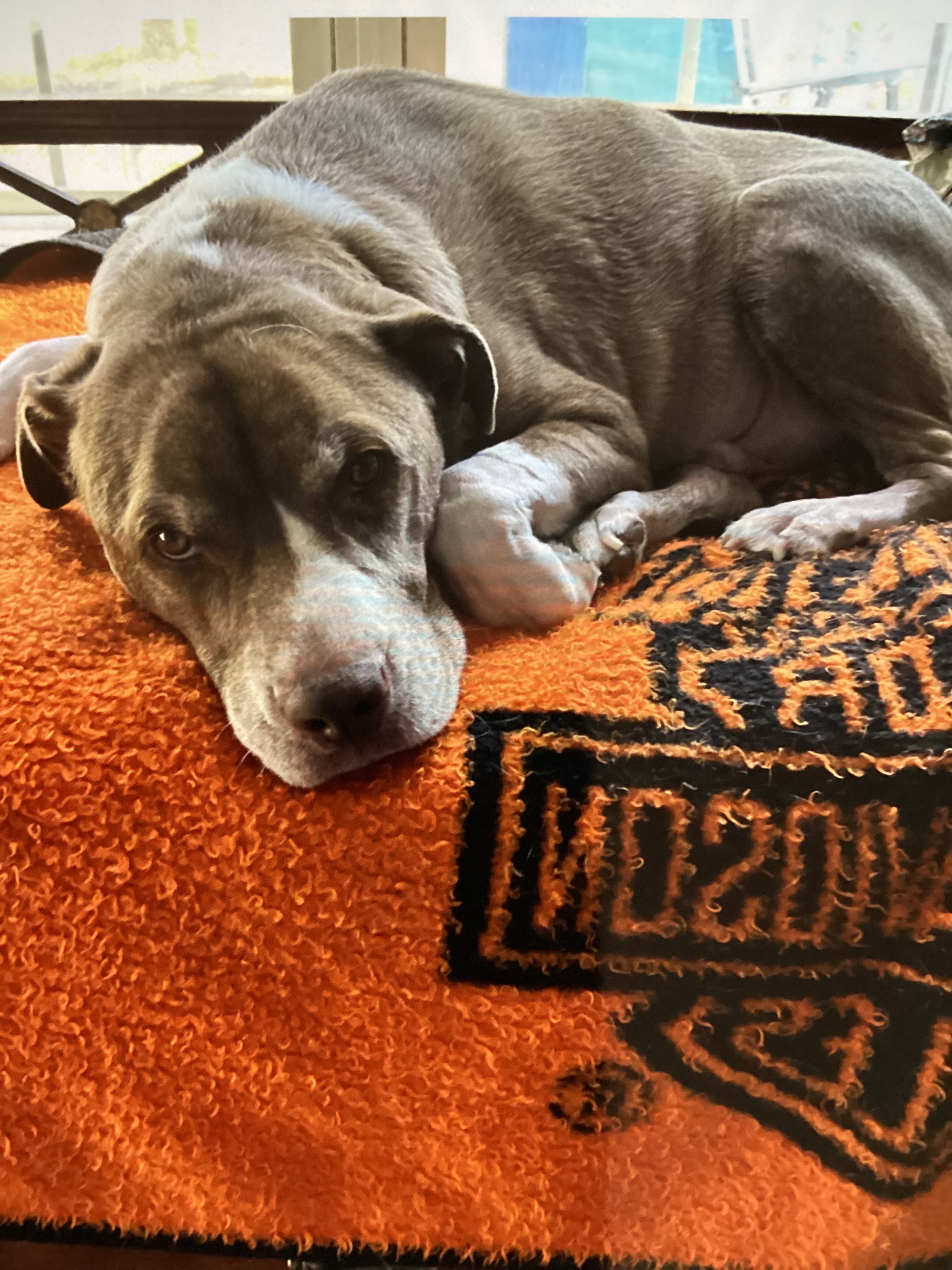 Empowering BRUIZER medical needs campaign photo, 5 of 7